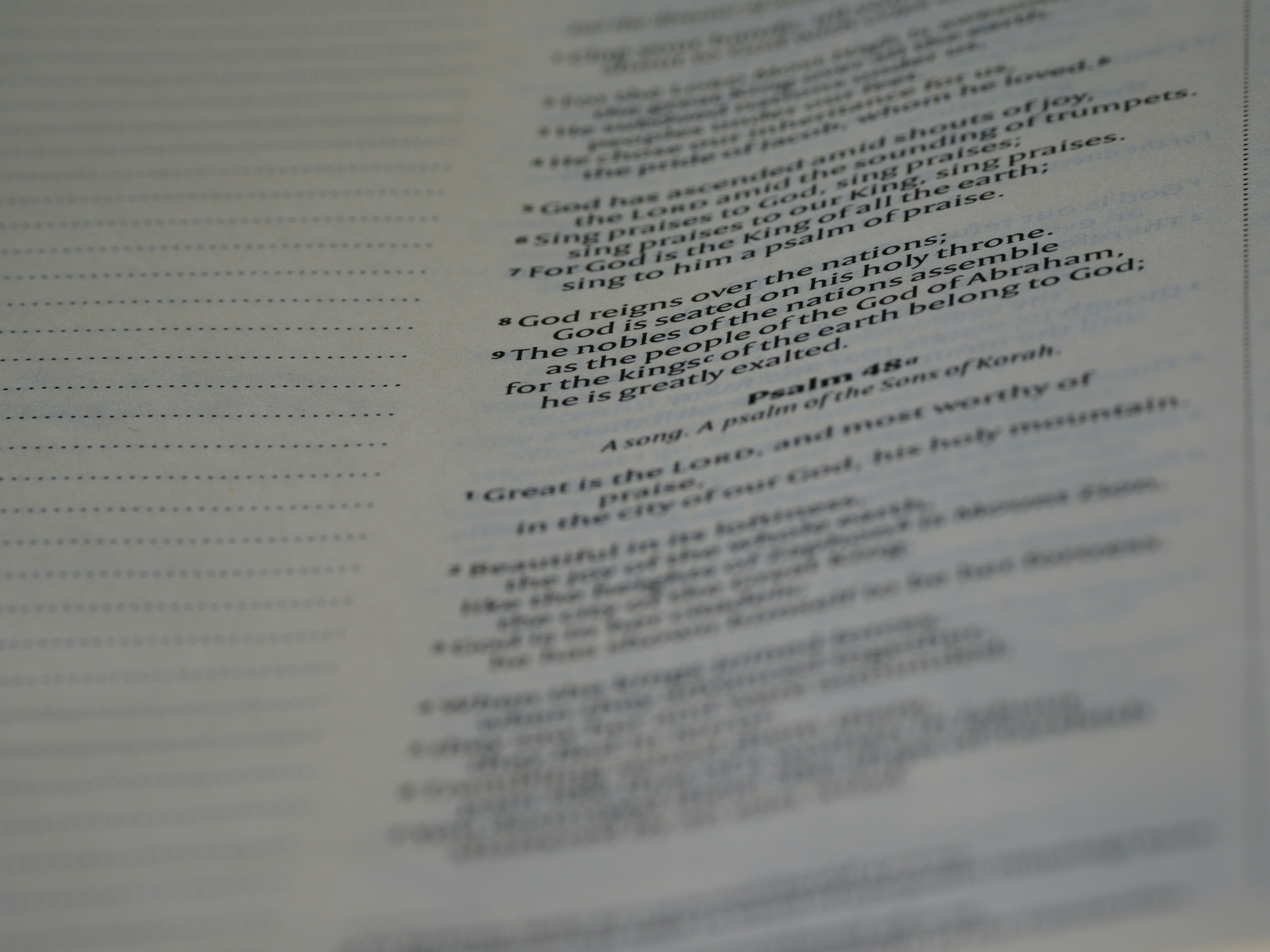 Photo by brett_jordan