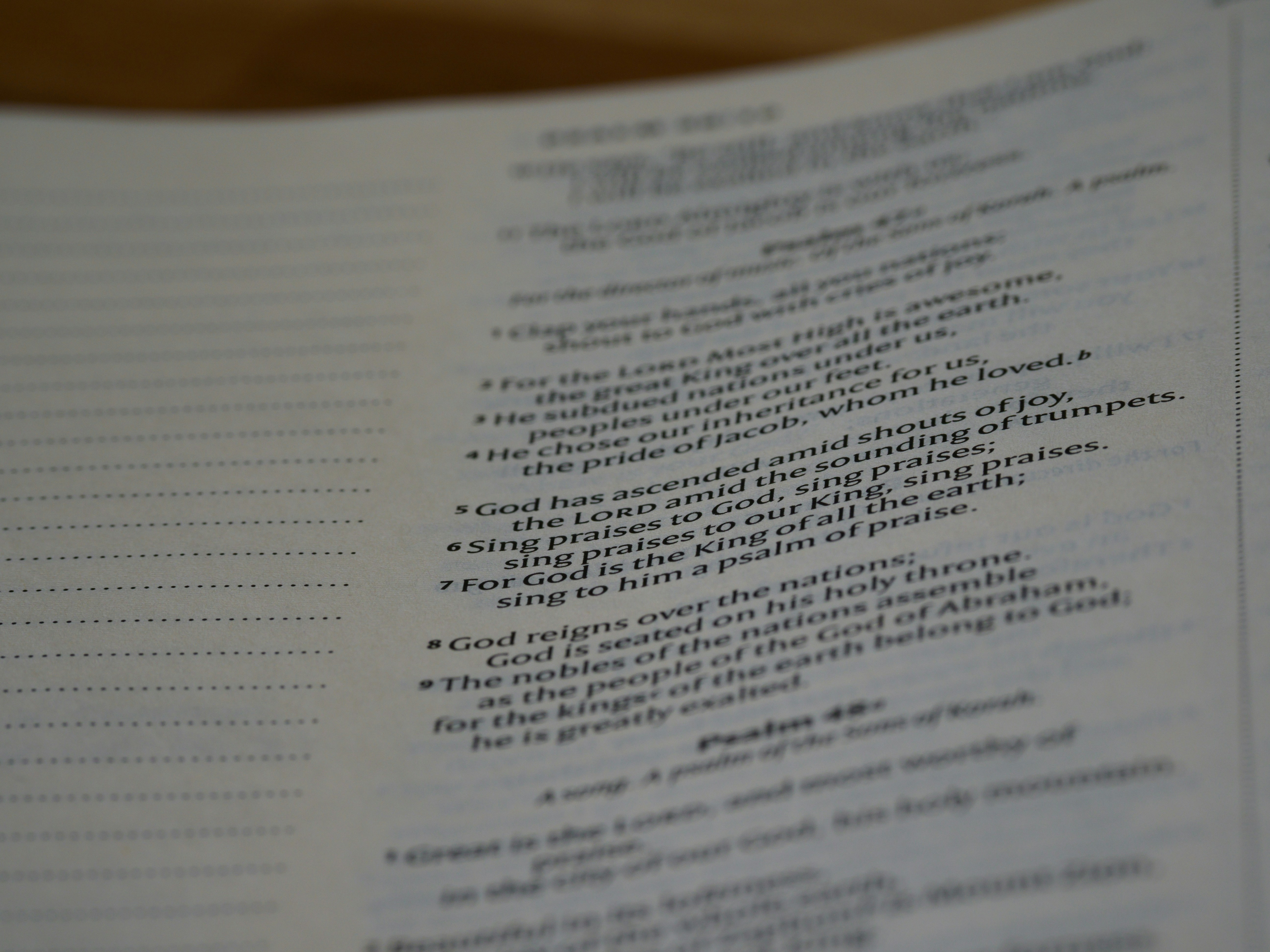 Photo by brett_jordan