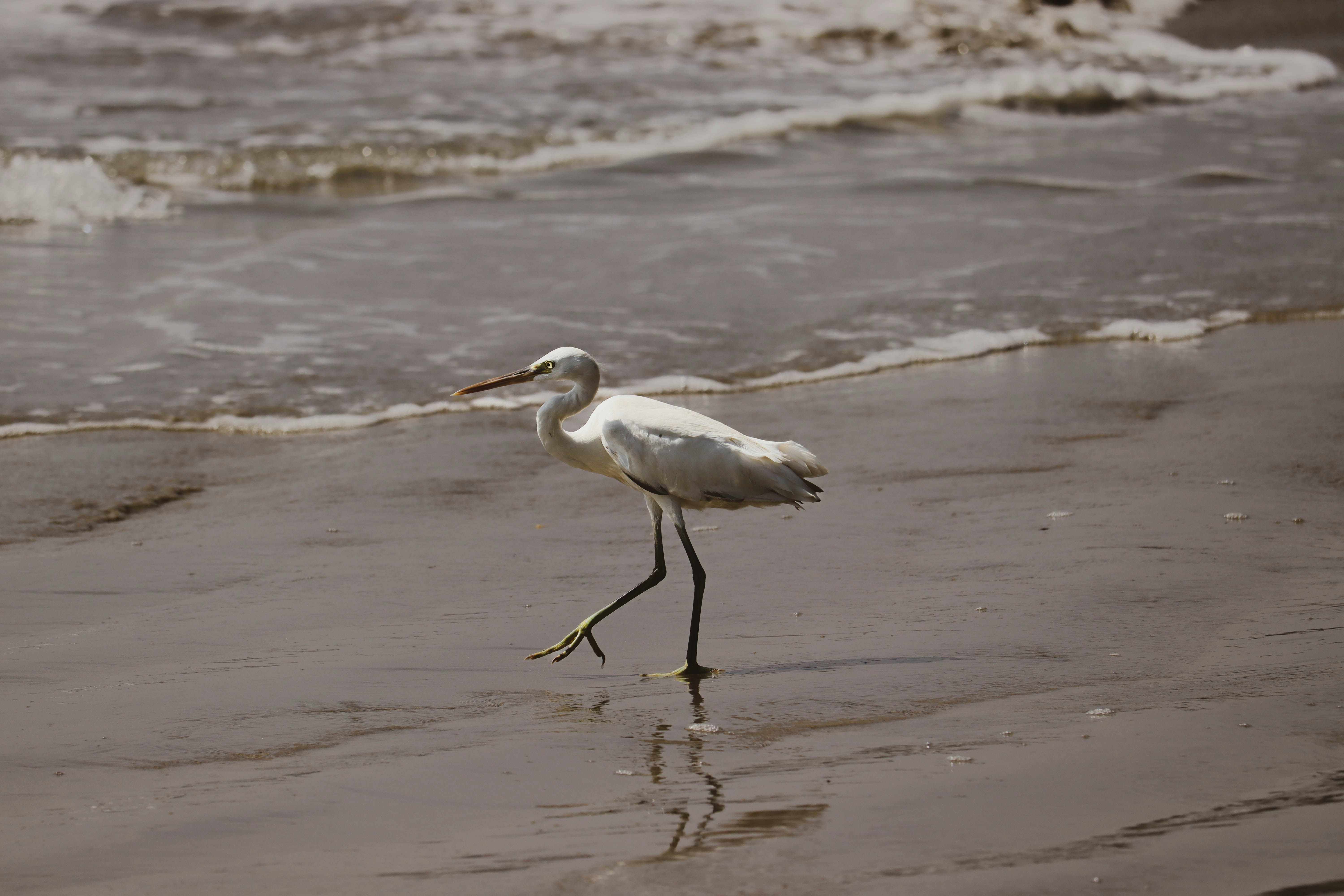 Photo by casarulez007