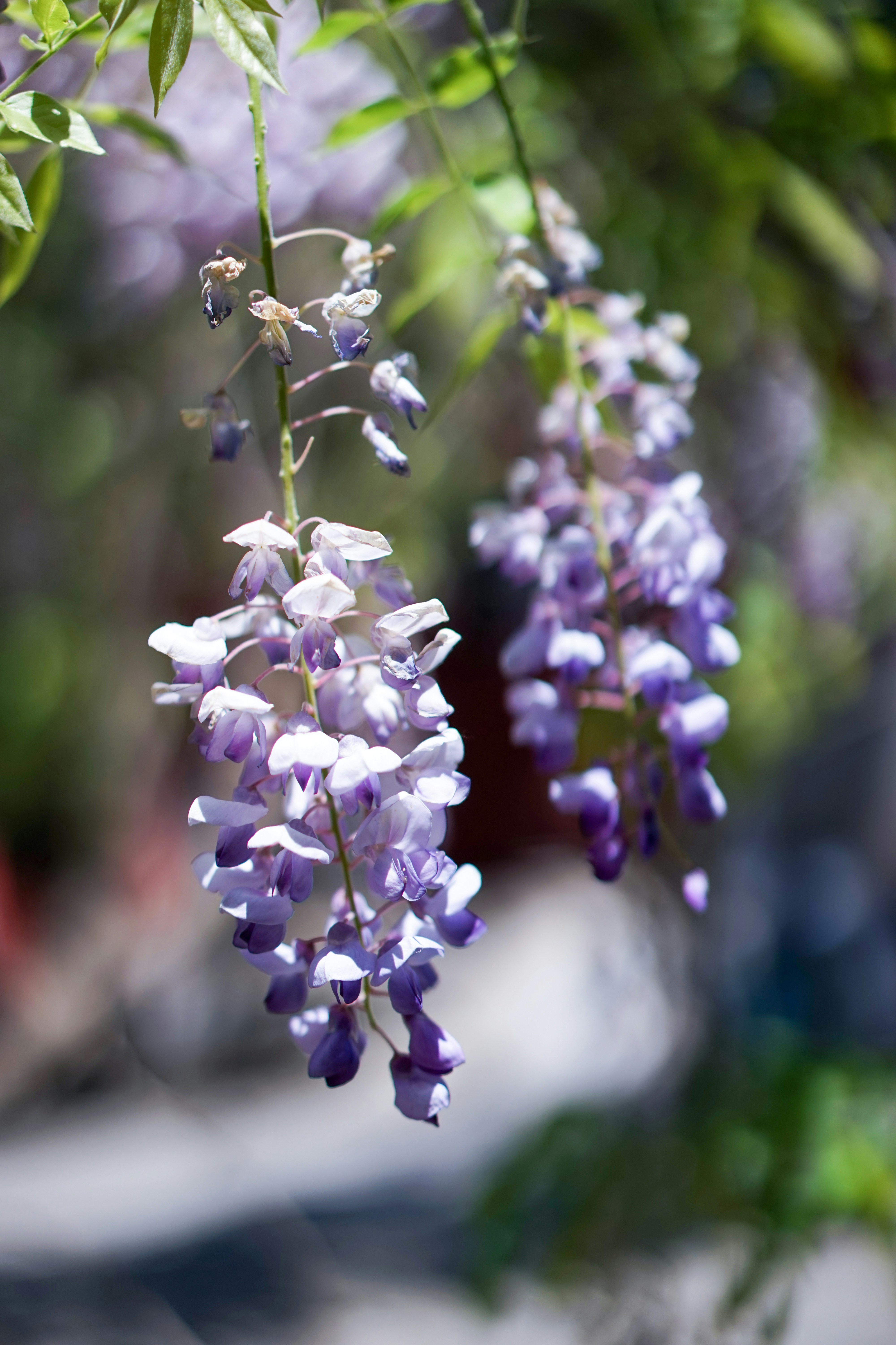 横浜 f マリノス 新 ユニフォーム