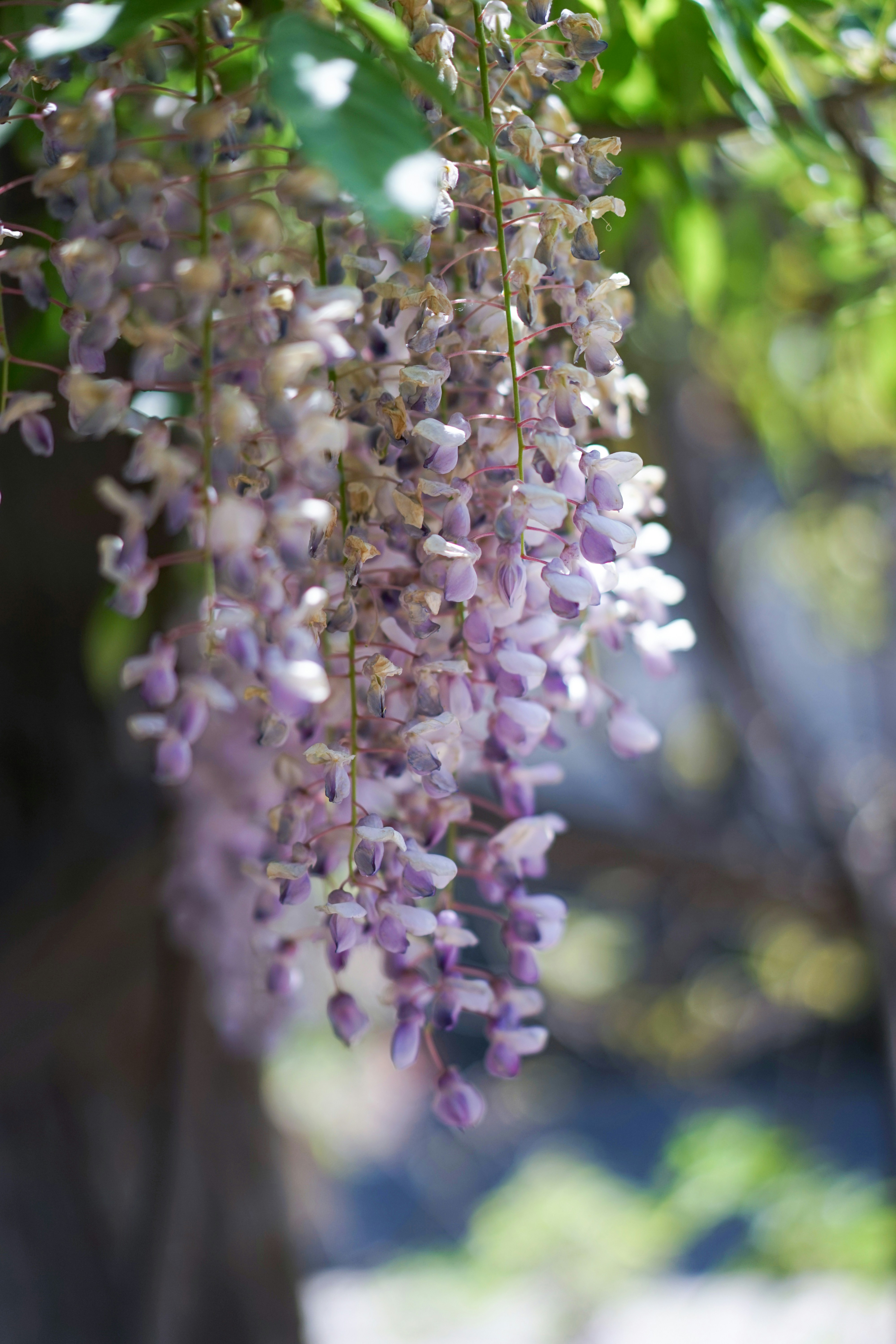 Photo by xiaoyulifish