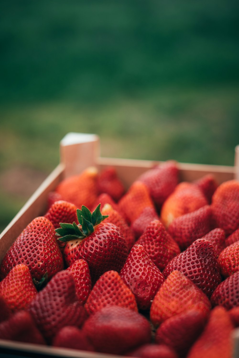 a box of strawberries