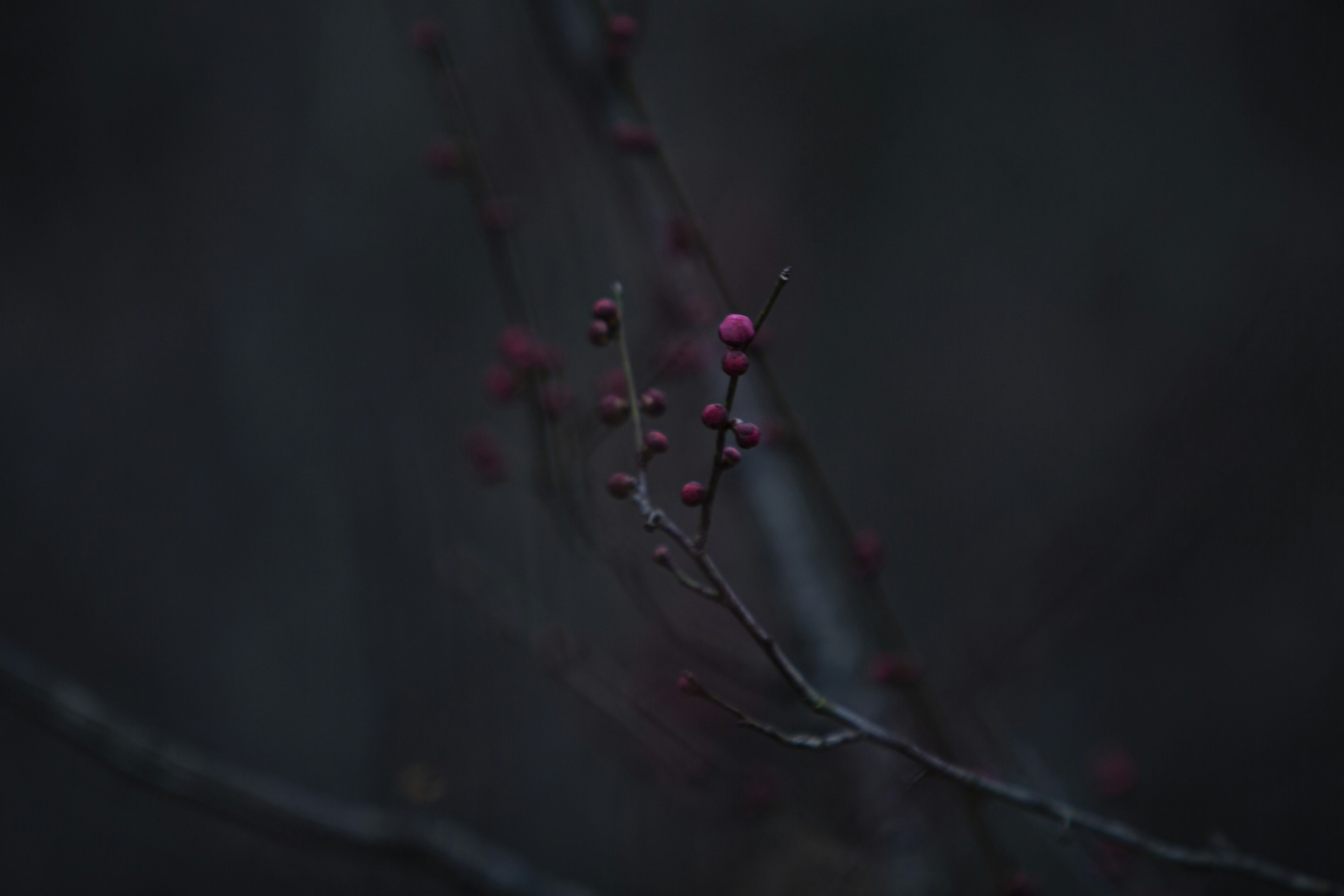 Photo by baco03