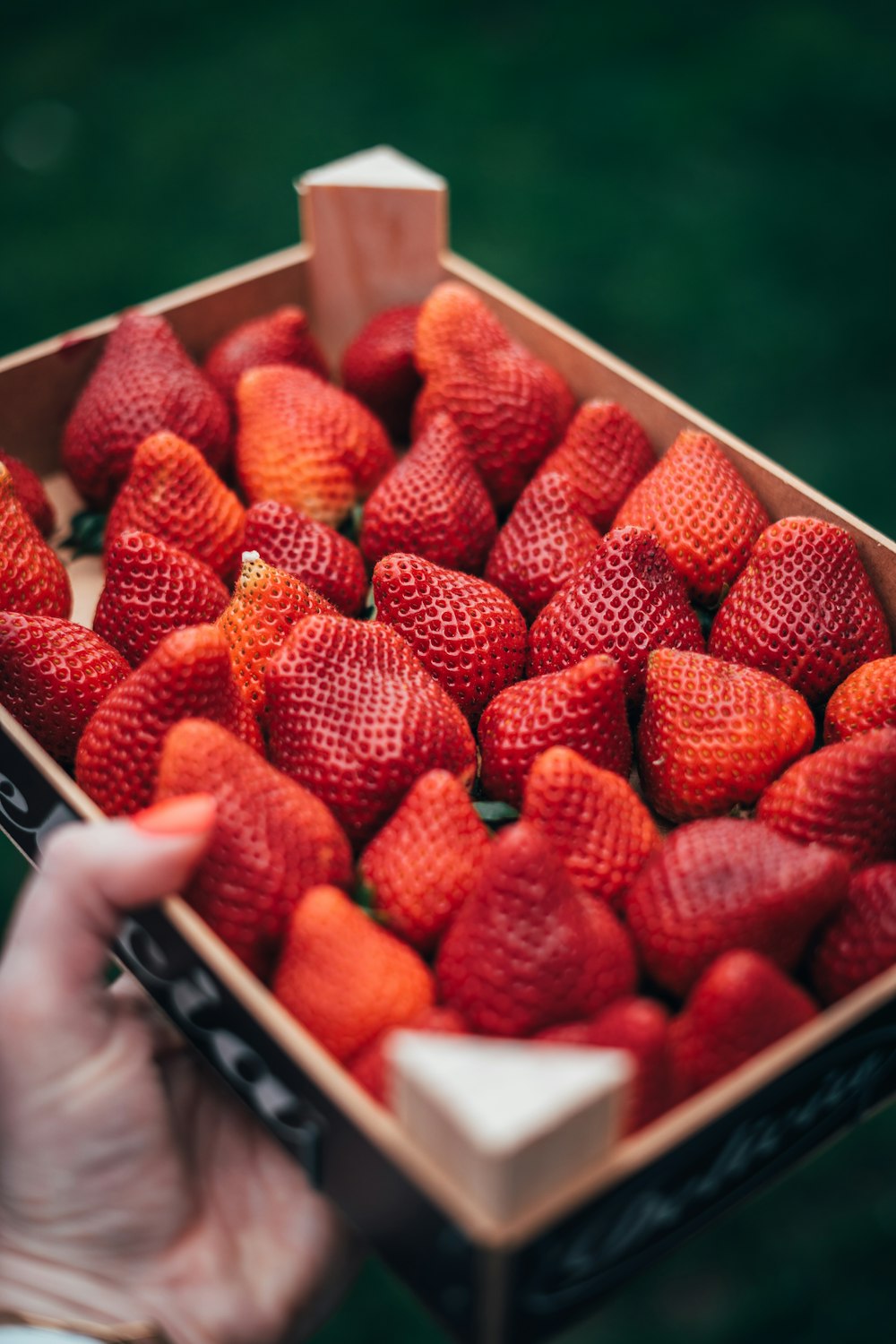 a hand holding a box of strawberries