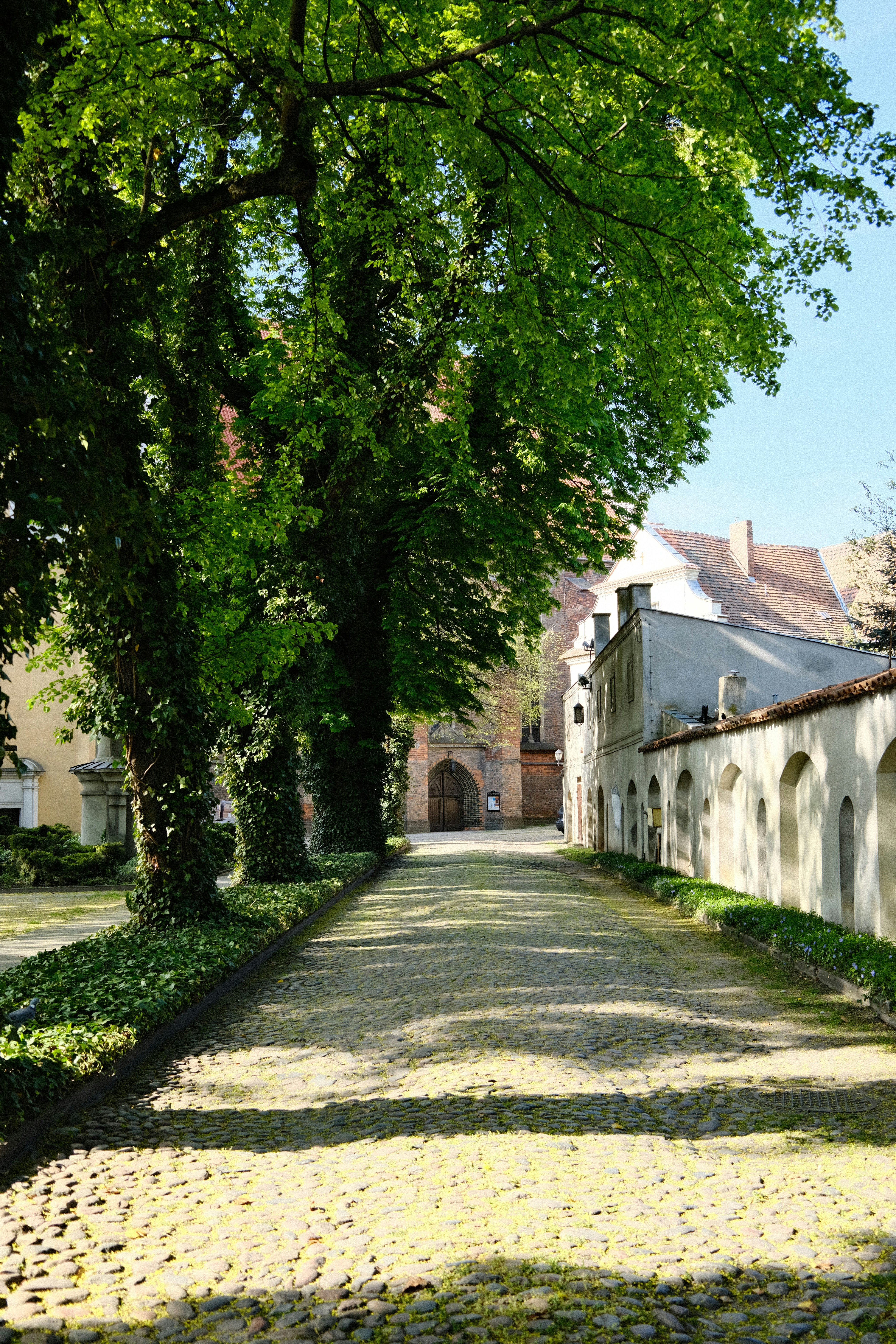 Photo by egorkomarov