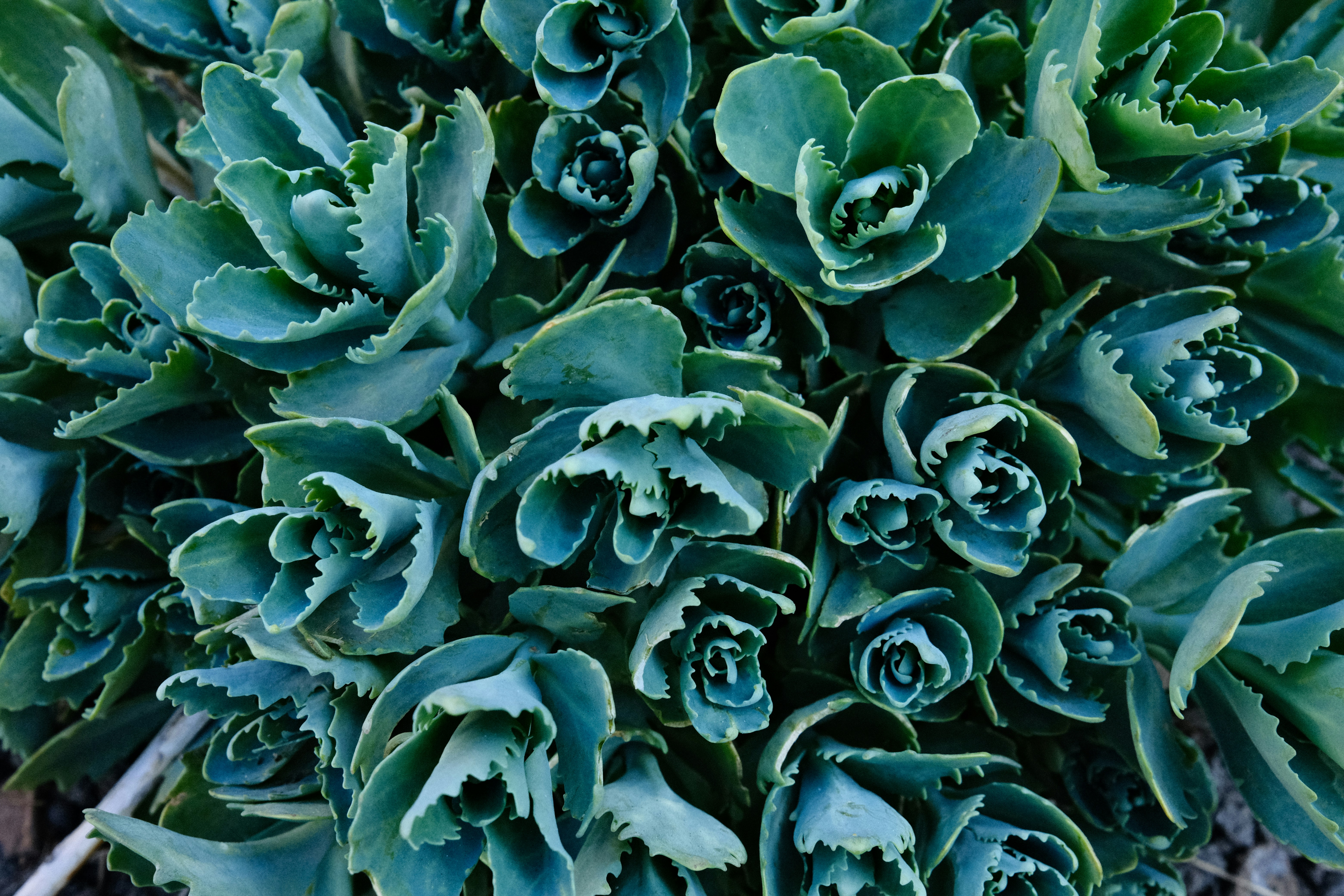 Photo by egorkomarov