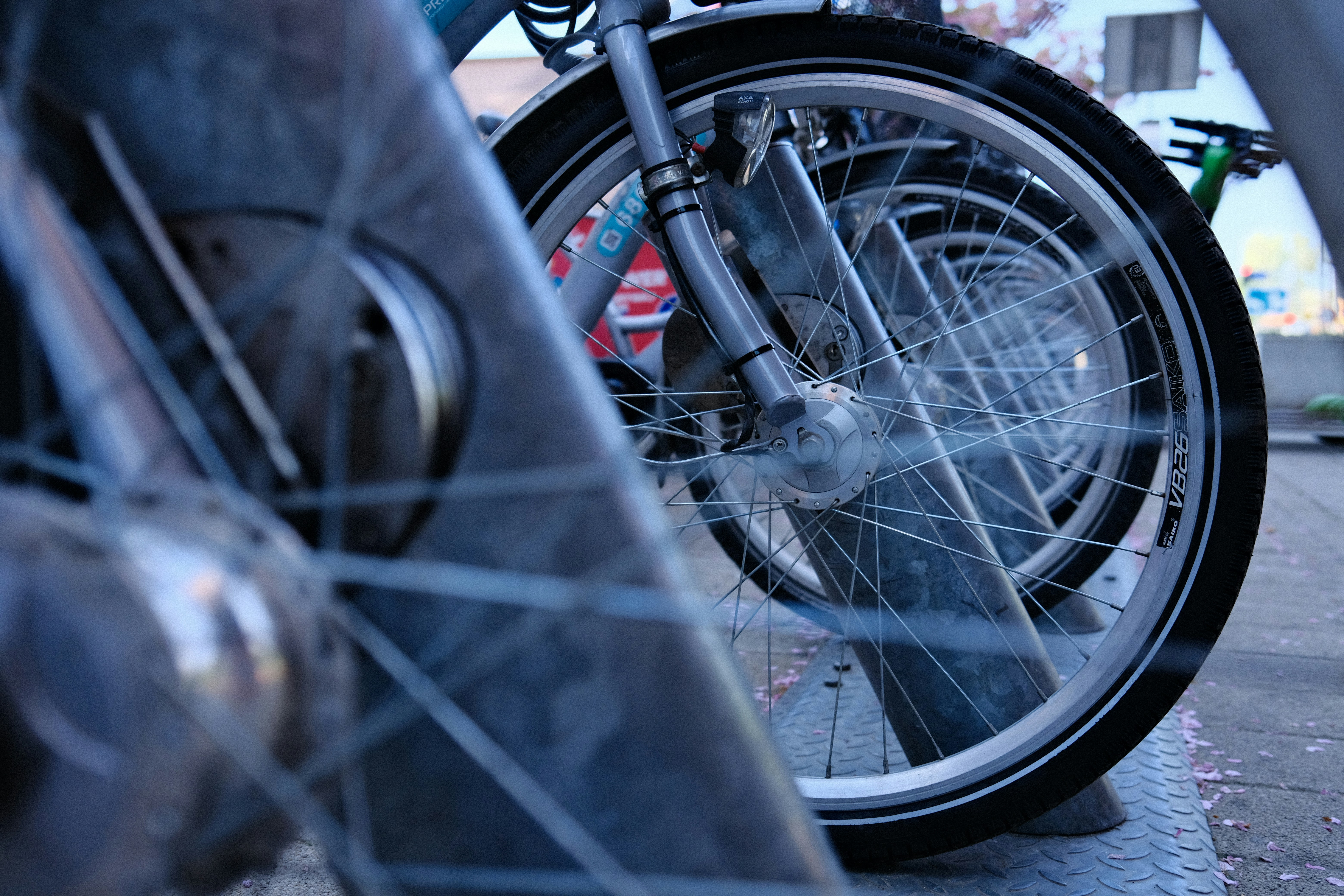 Photo by egorkomarov