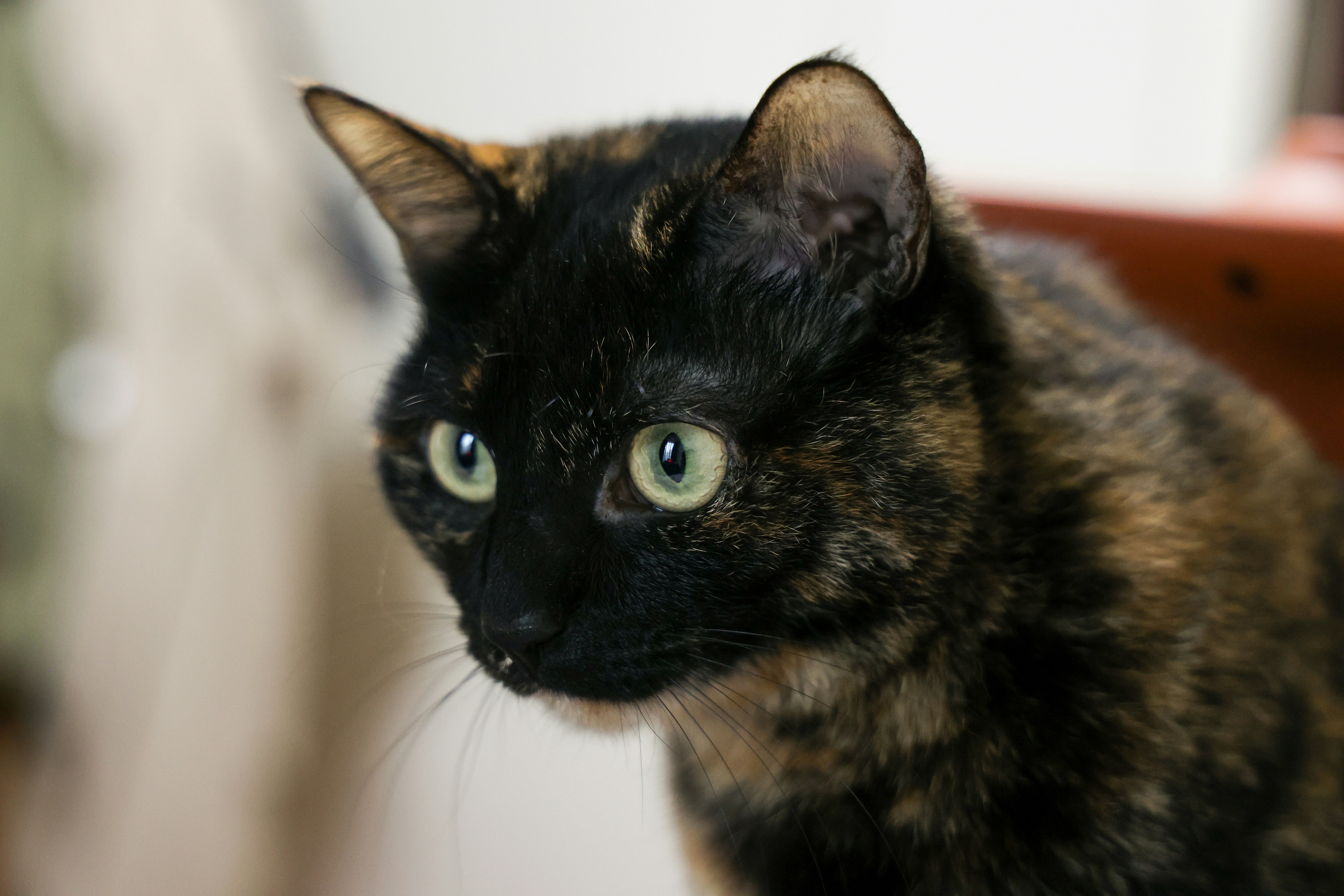 Photo by nananafuzimi