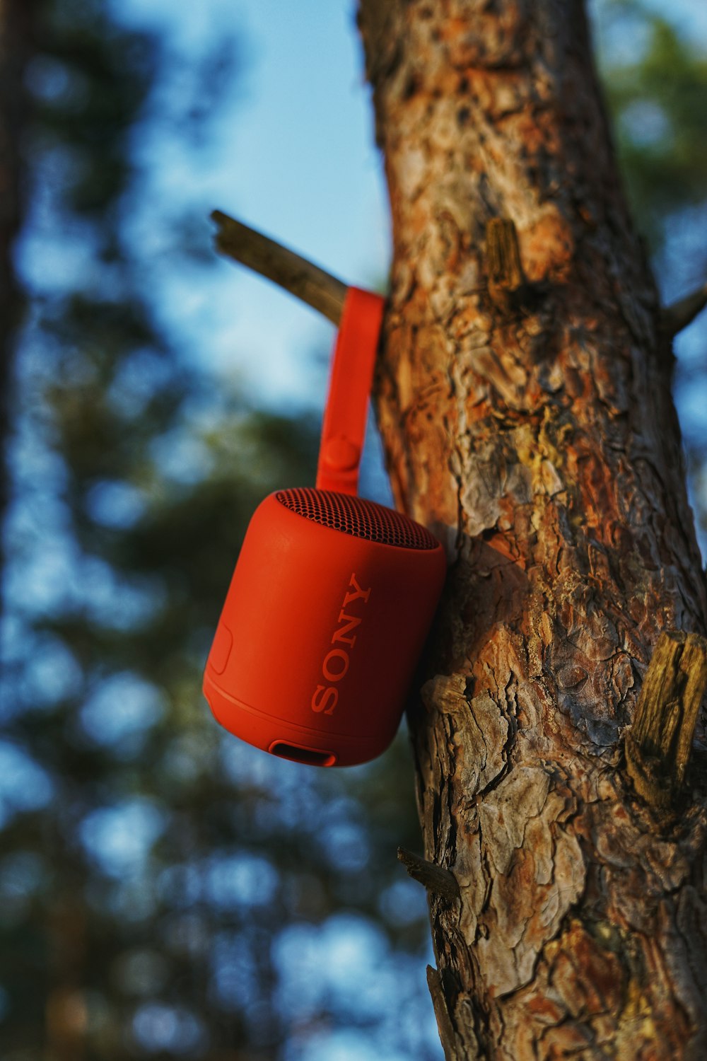a red and white plastic cup on a tree