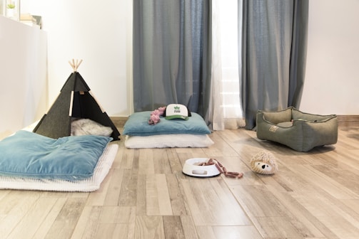 A cozy room setup featuring a small black tent with a soft cushion inside, several plush blue pillows on the floor, a pet bed, a white food bowl with a chew toy inside, and a hedgehog-shaped toy sitting on wooden flooring. The space is brightened by natural light coming through sheer curtains.