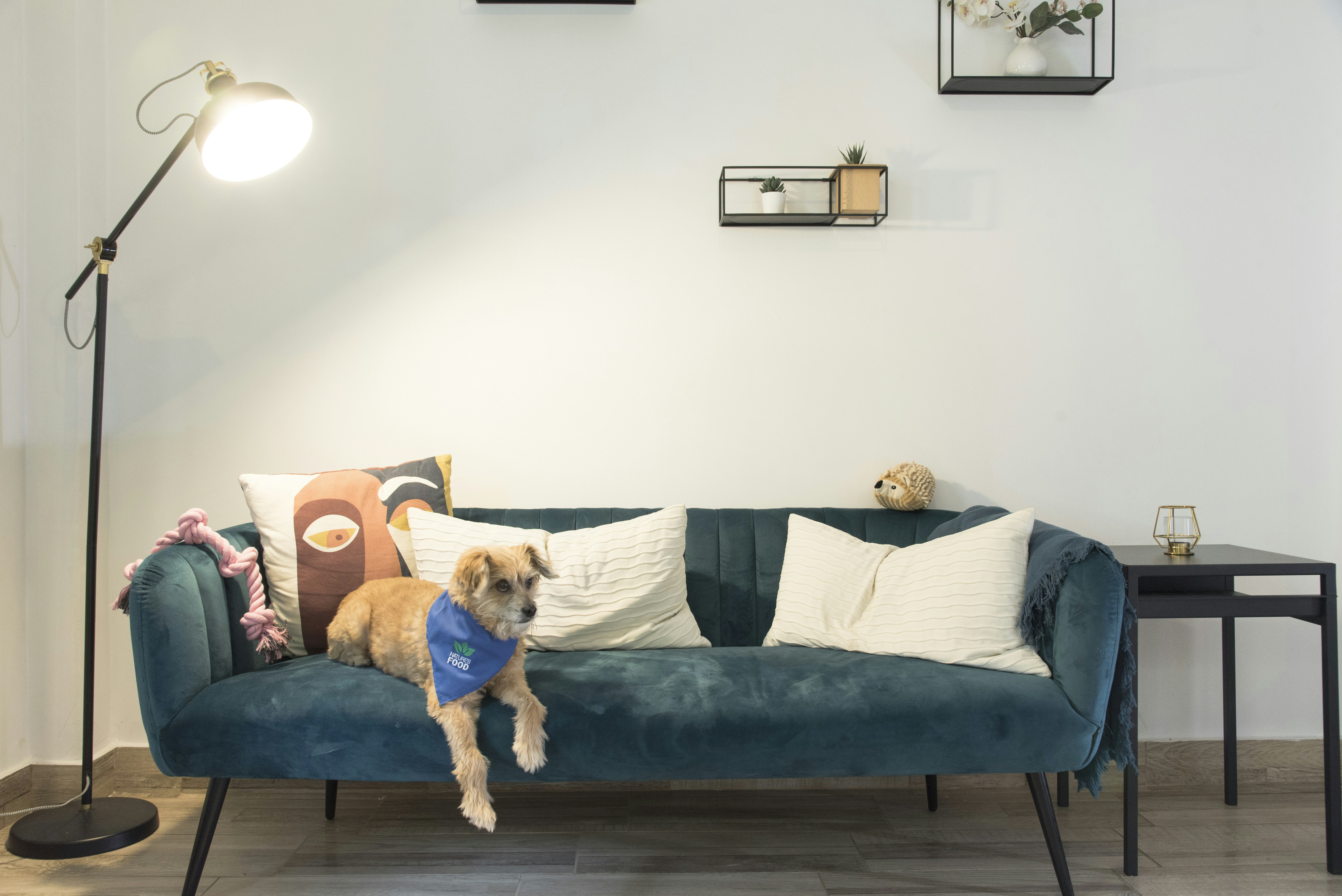 Photo by realnaturesfood