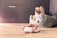 A small dog wearing a blue shirt sits happily on a soft, green pet bed. In the foreground, a white dog bowl filled with treats and snacks is placed on a wooden floor. The background features a dark cabinet with a simple handle.