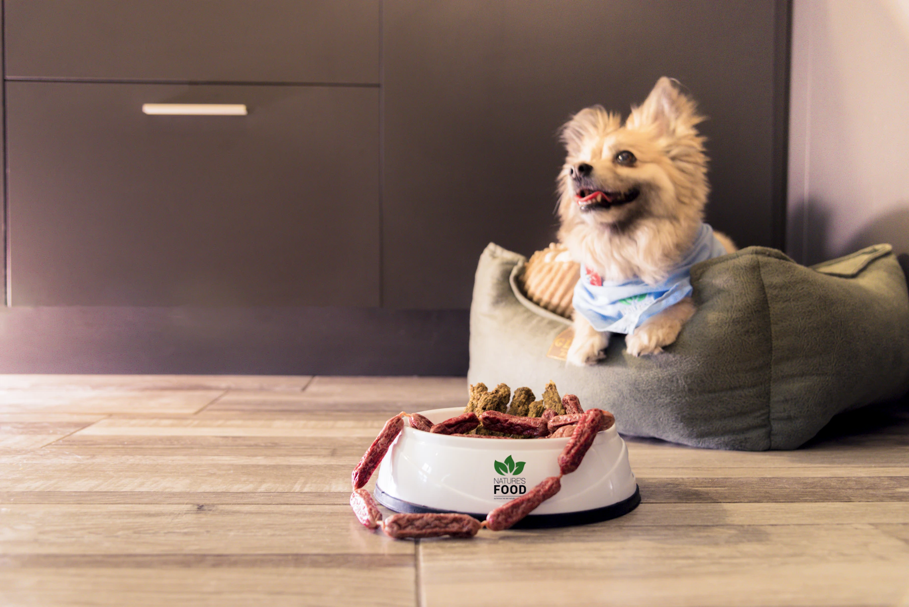 狗狗与宠物零食