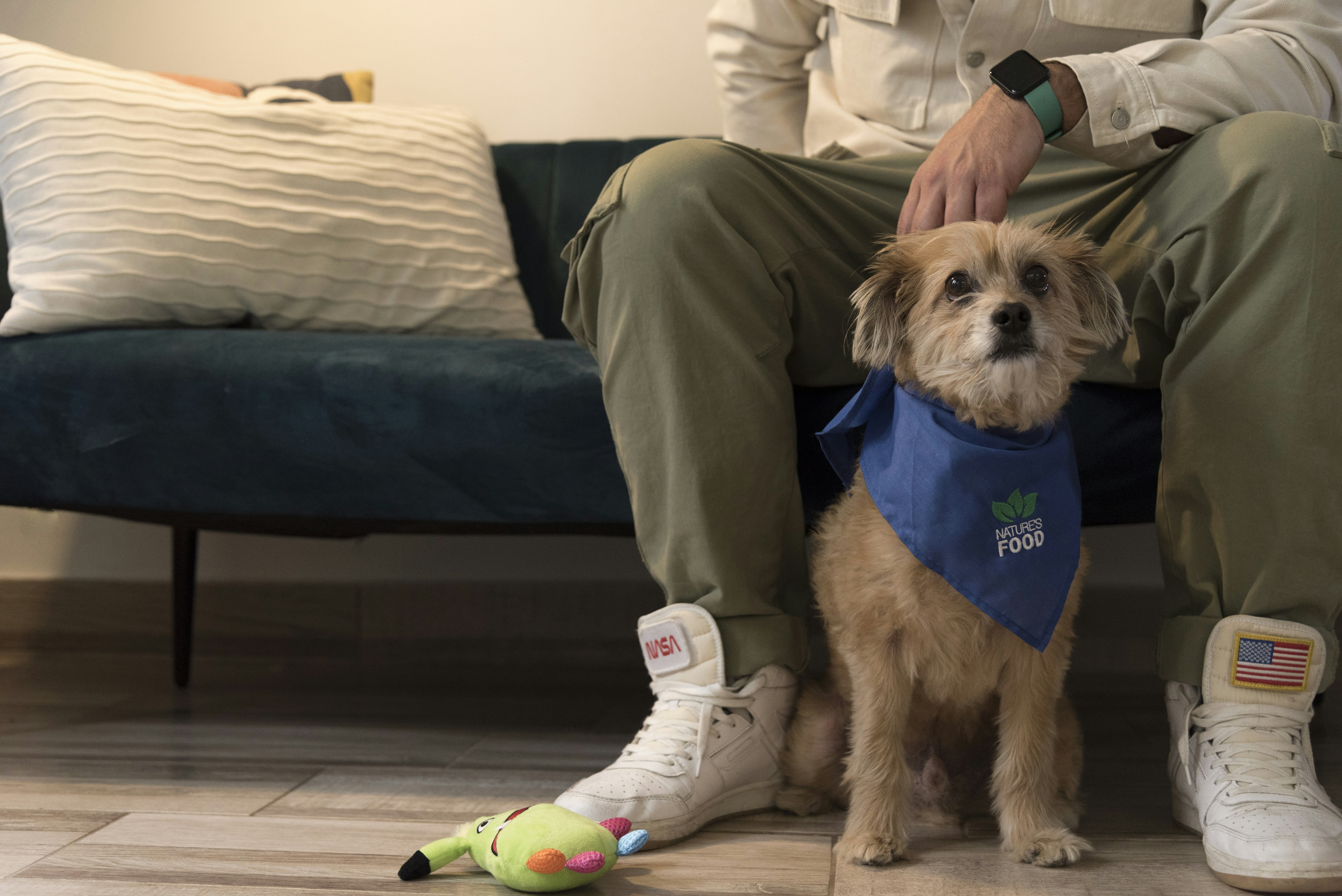 Best Dog Toys for Small Dogs: 2026 Guide