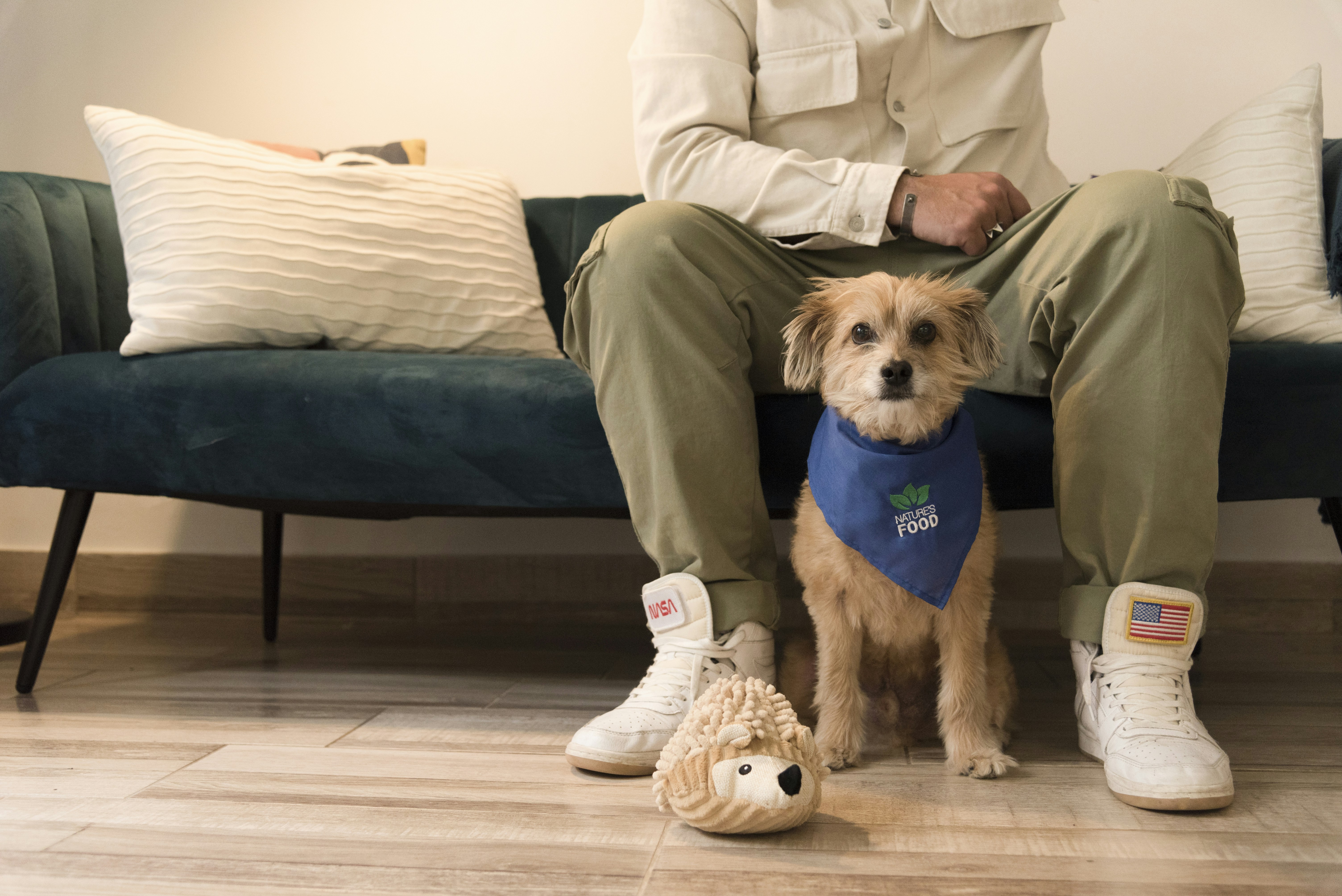 Best Dog Toys for Small Dogs: 2026 Guide