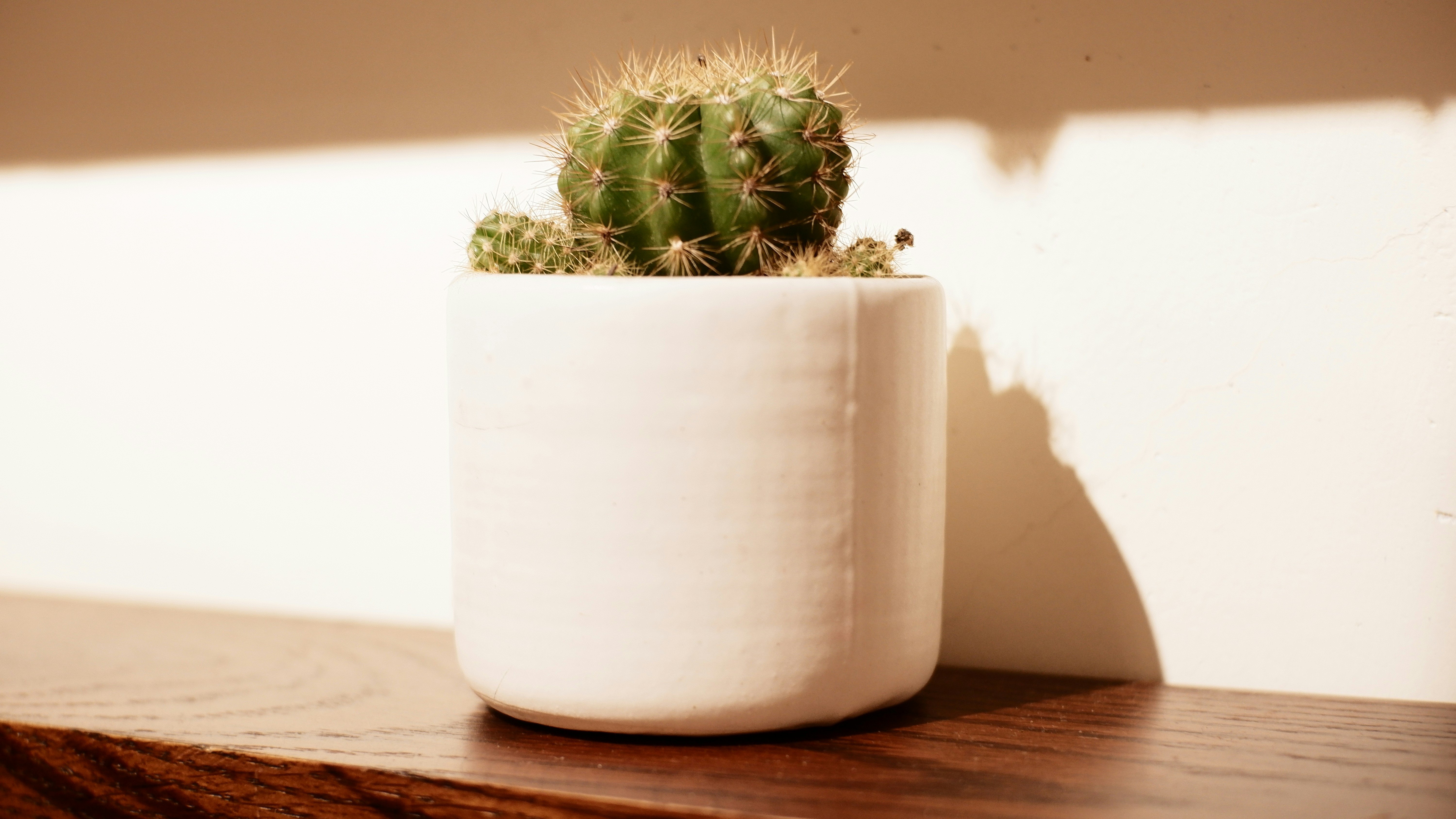 Photo by dvhoang2106