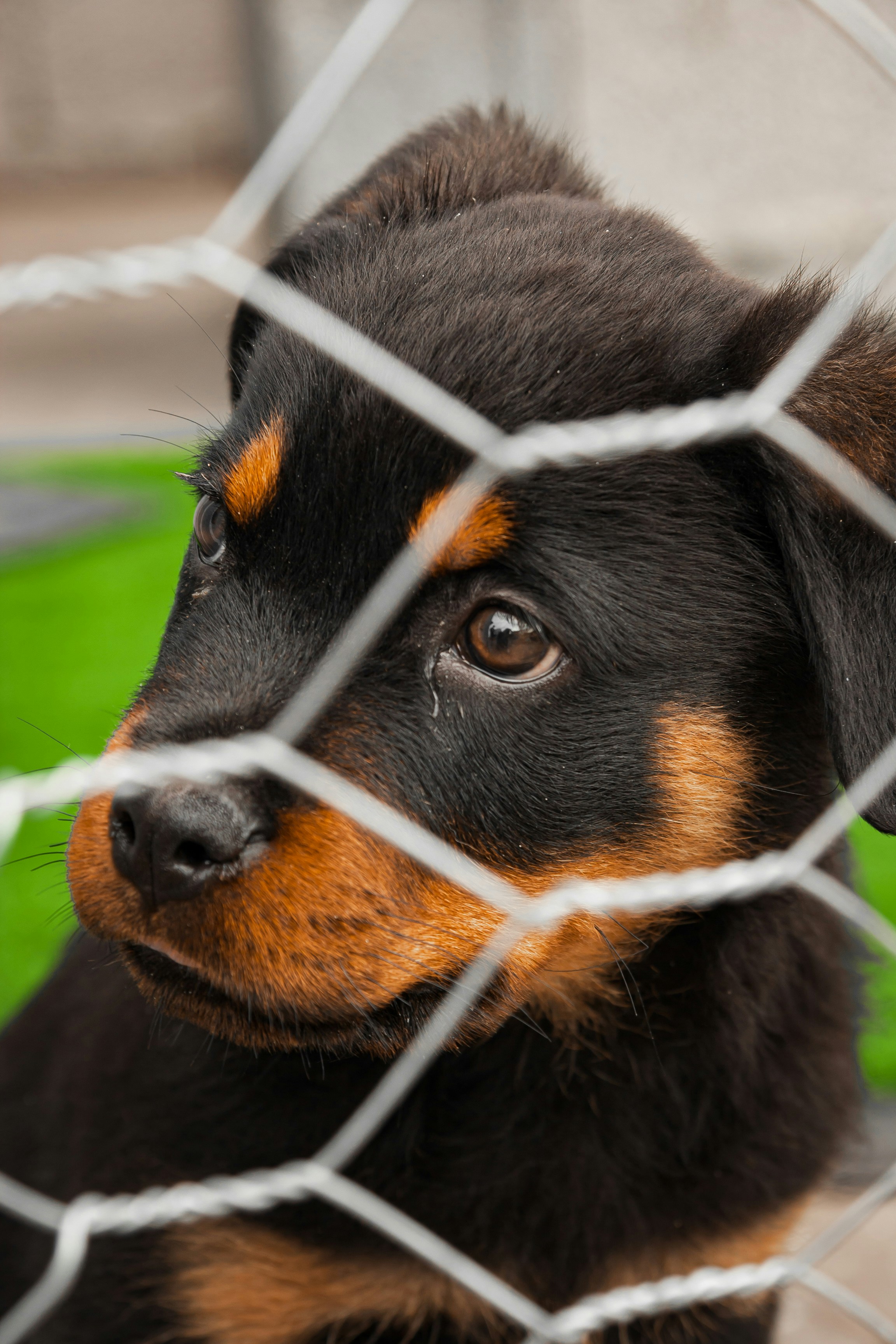 Photo by bita_eskandari