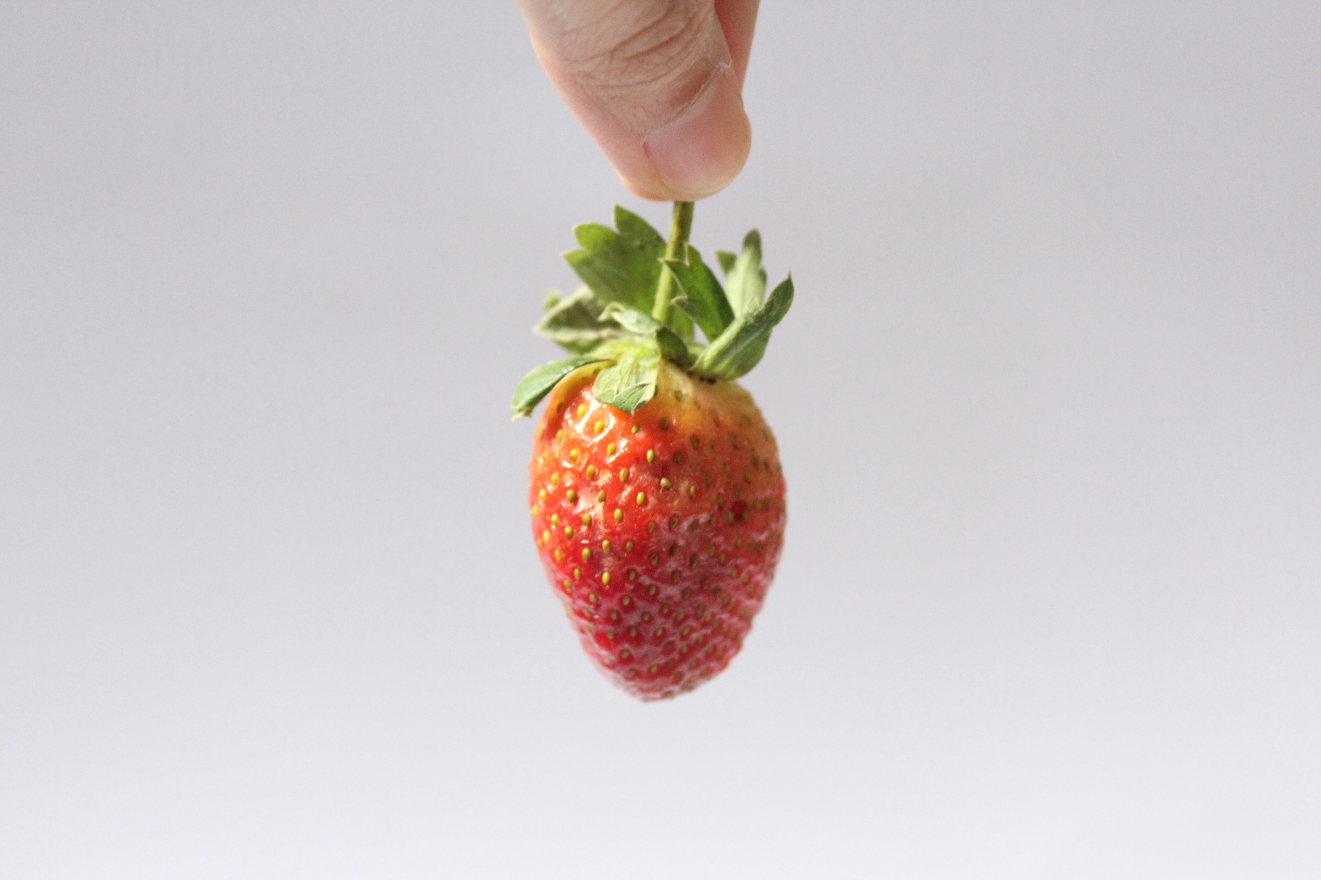 Photo by adindalutfiahnugraha