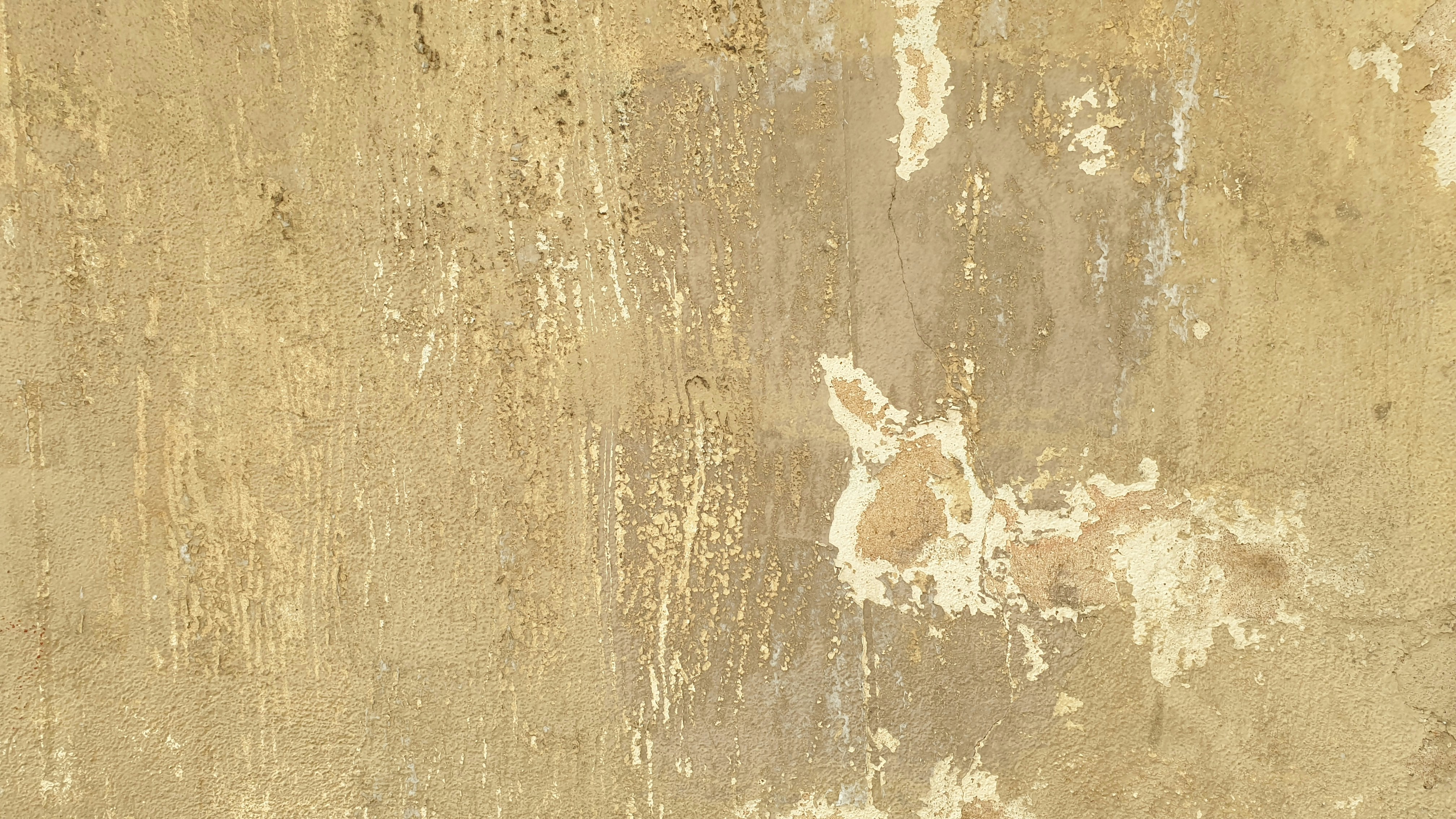 Nettoyage délicat d'un tableau ancien peint sur bois