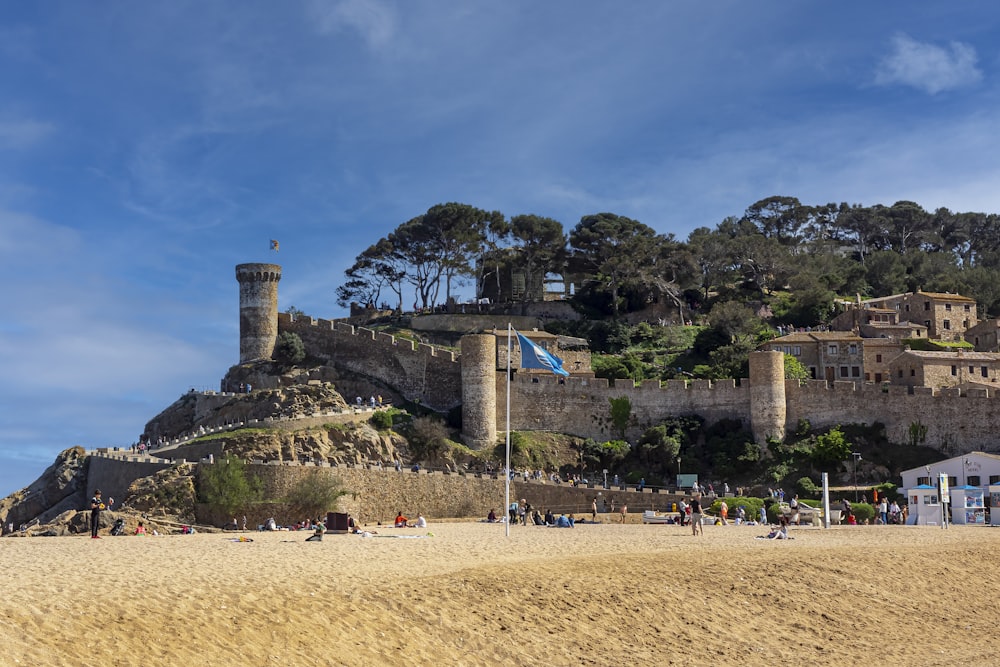 a castle on a hill