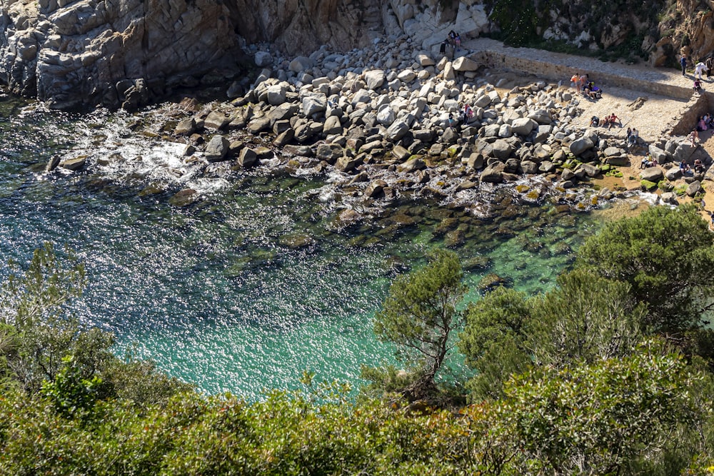 a river with rocks and trees