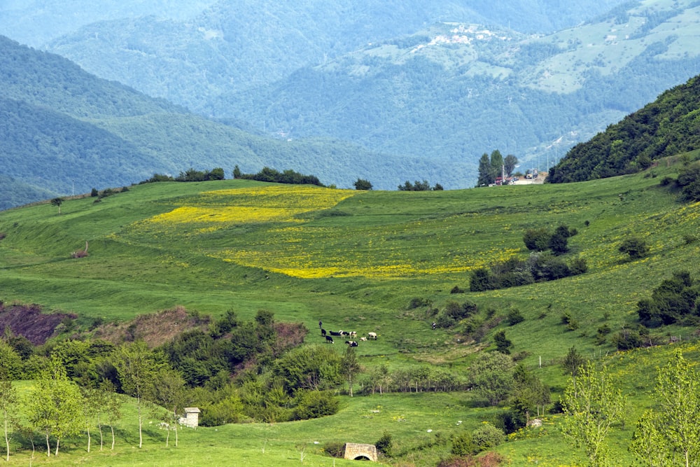 a green valley with trees and hills