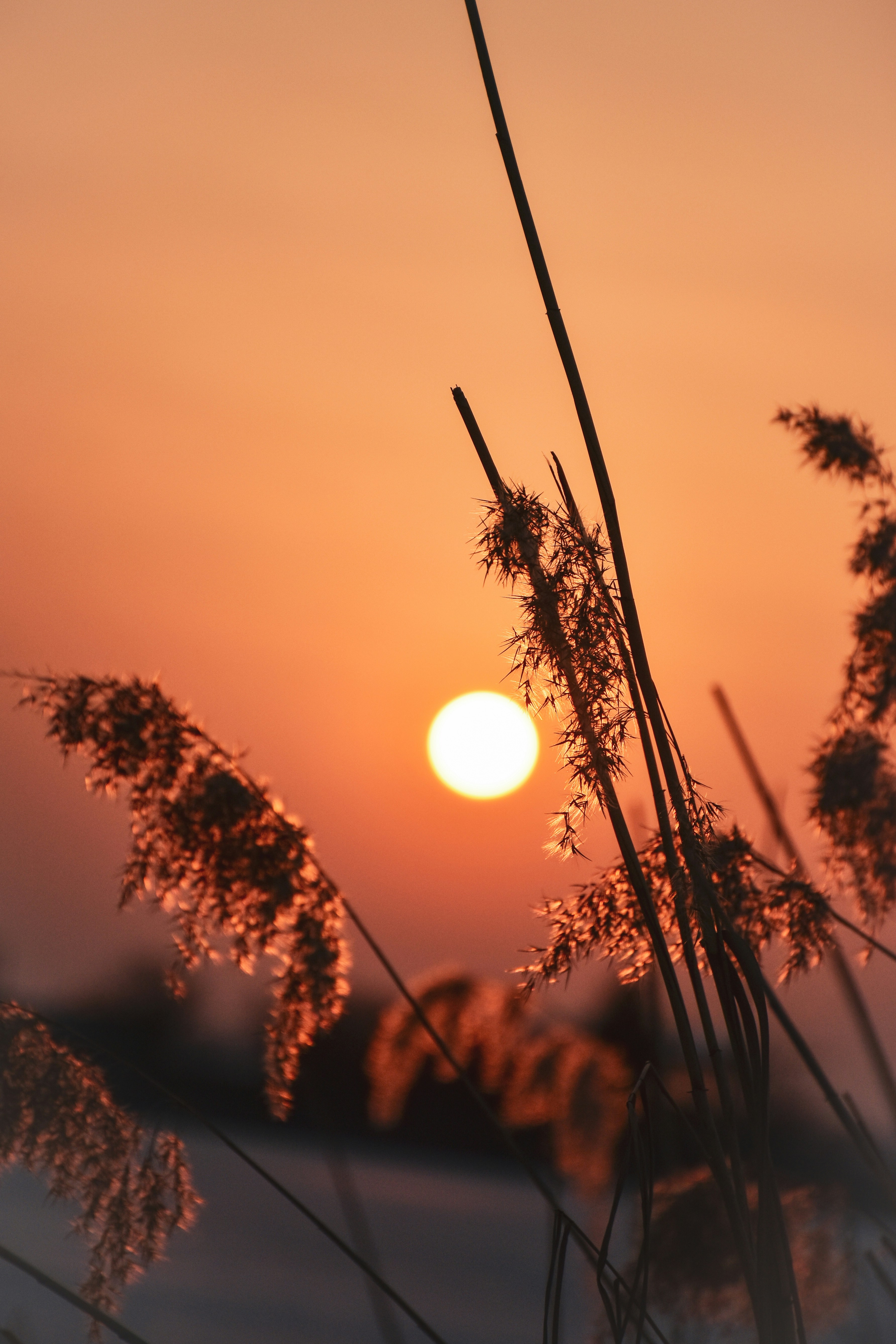 Photo by artem_makarov