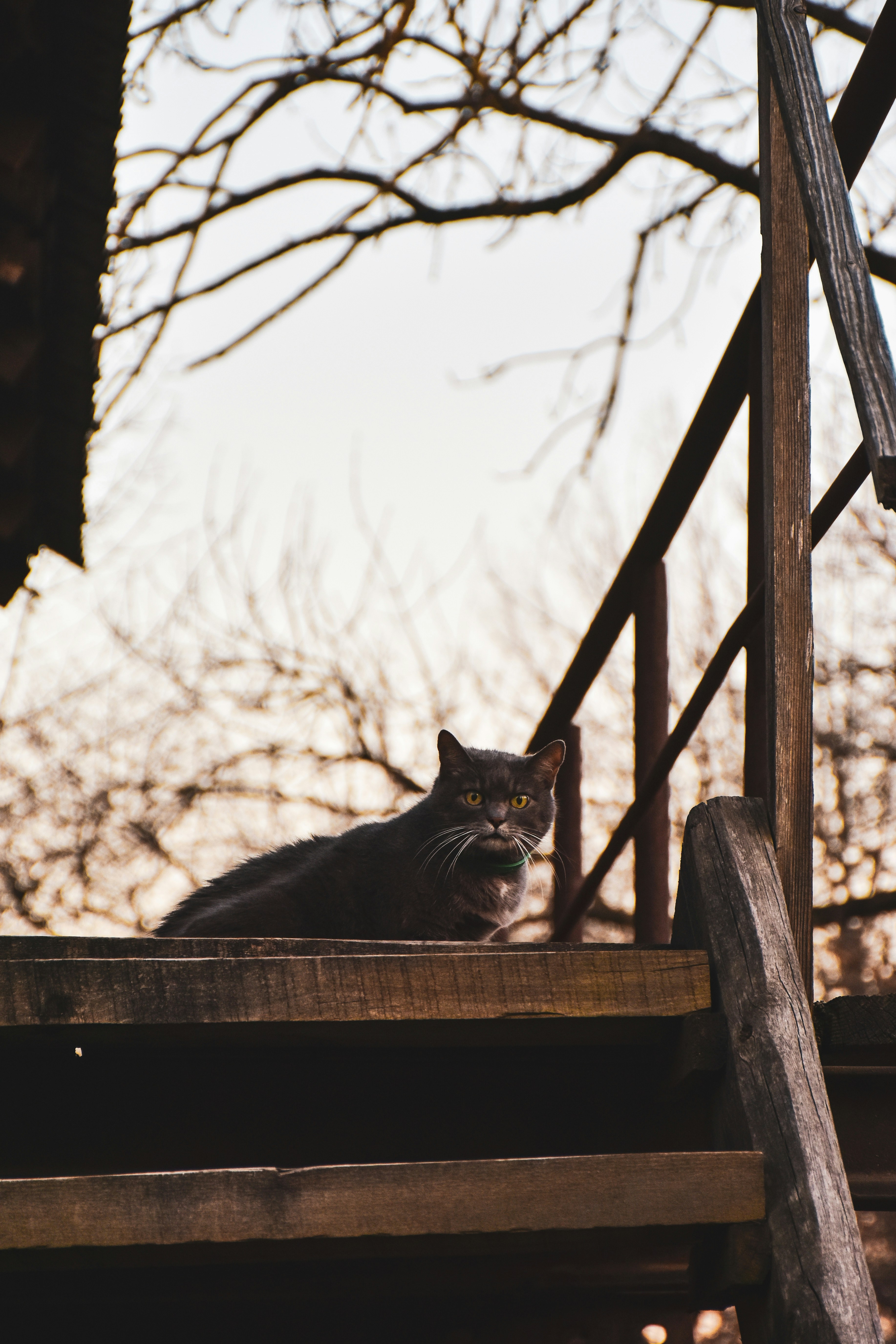 Photo by artem_makarov