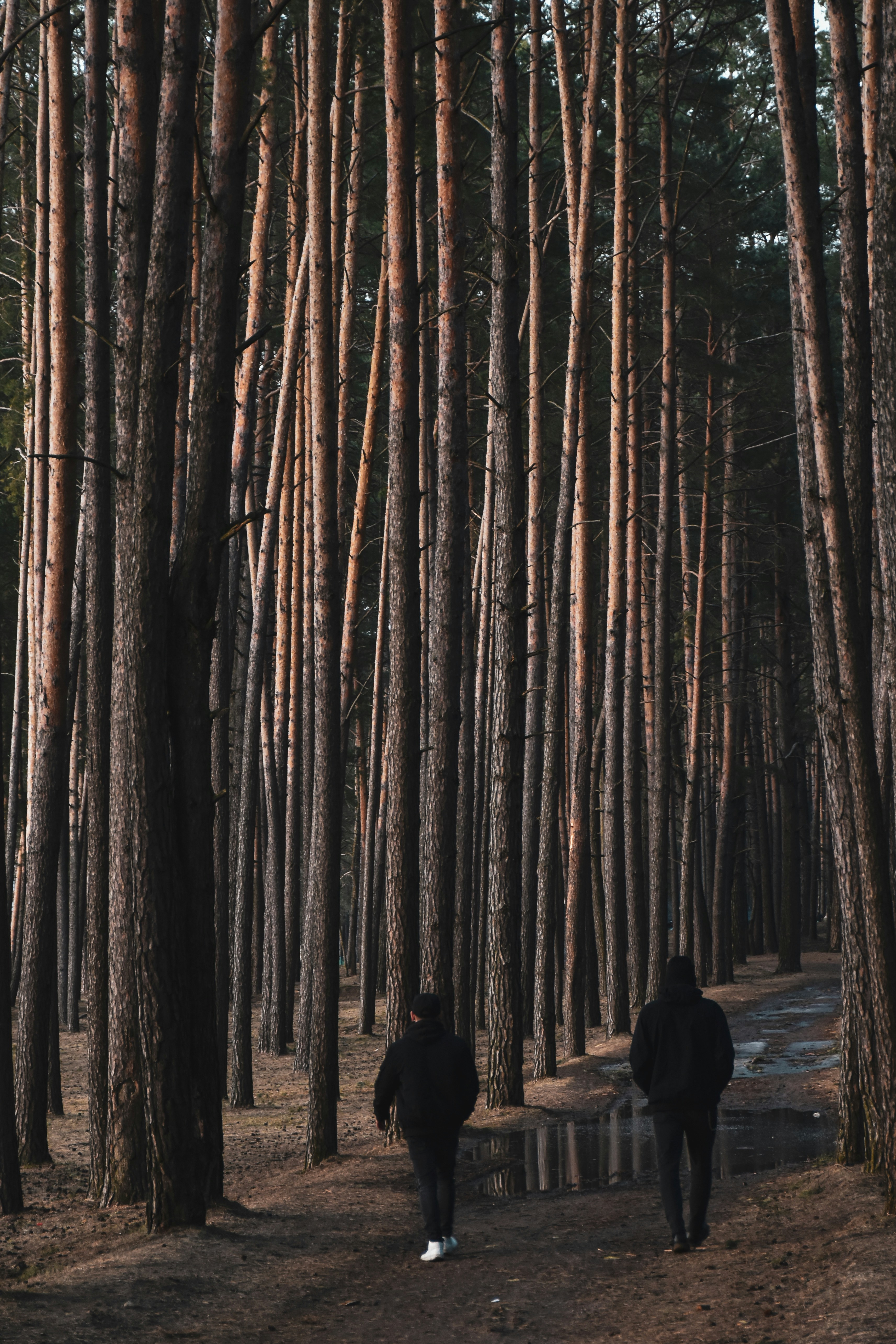 Photo by artem_makarov