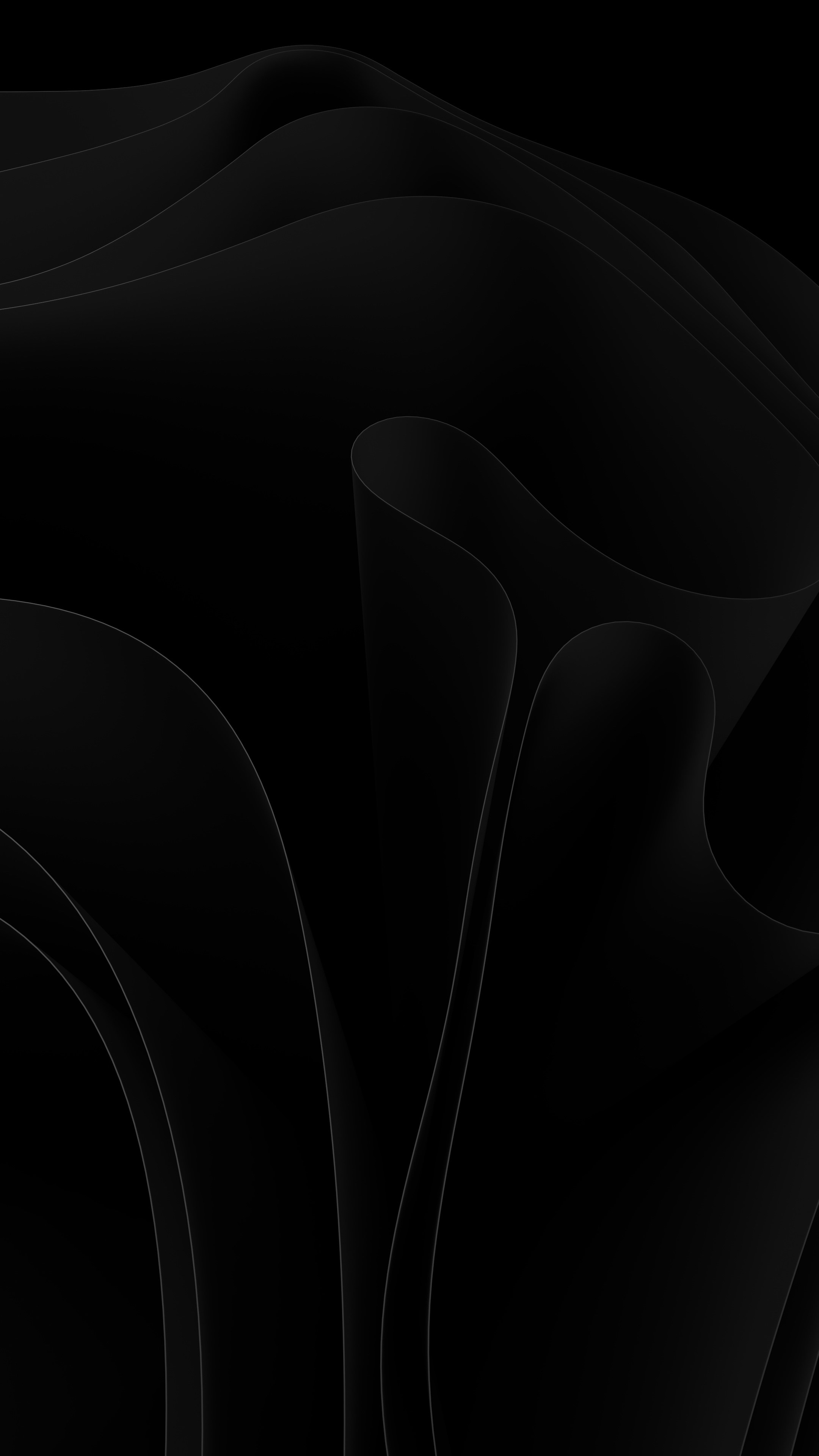 Abstract curved ribbons.
