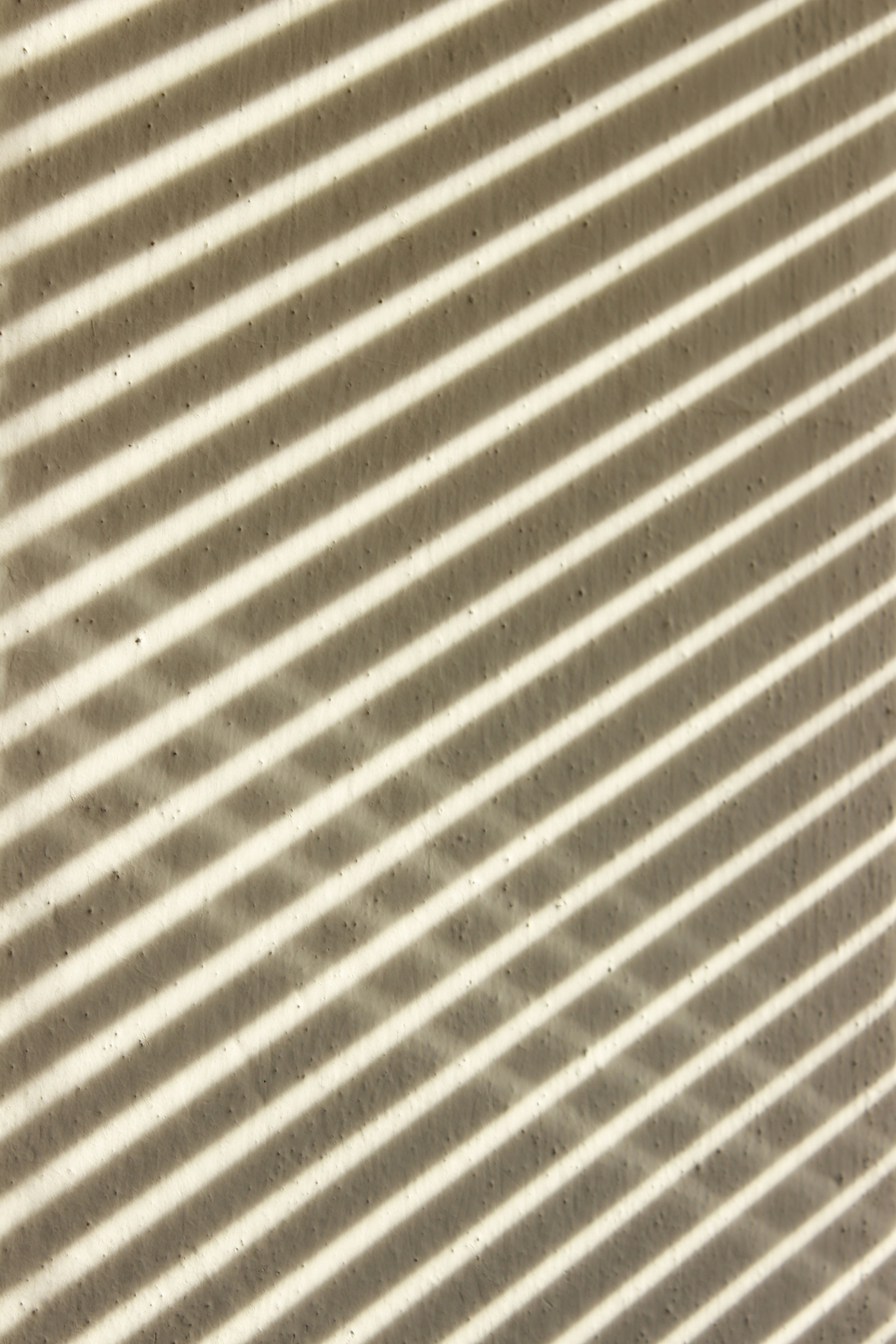 Photo by kateryna_shevchenko