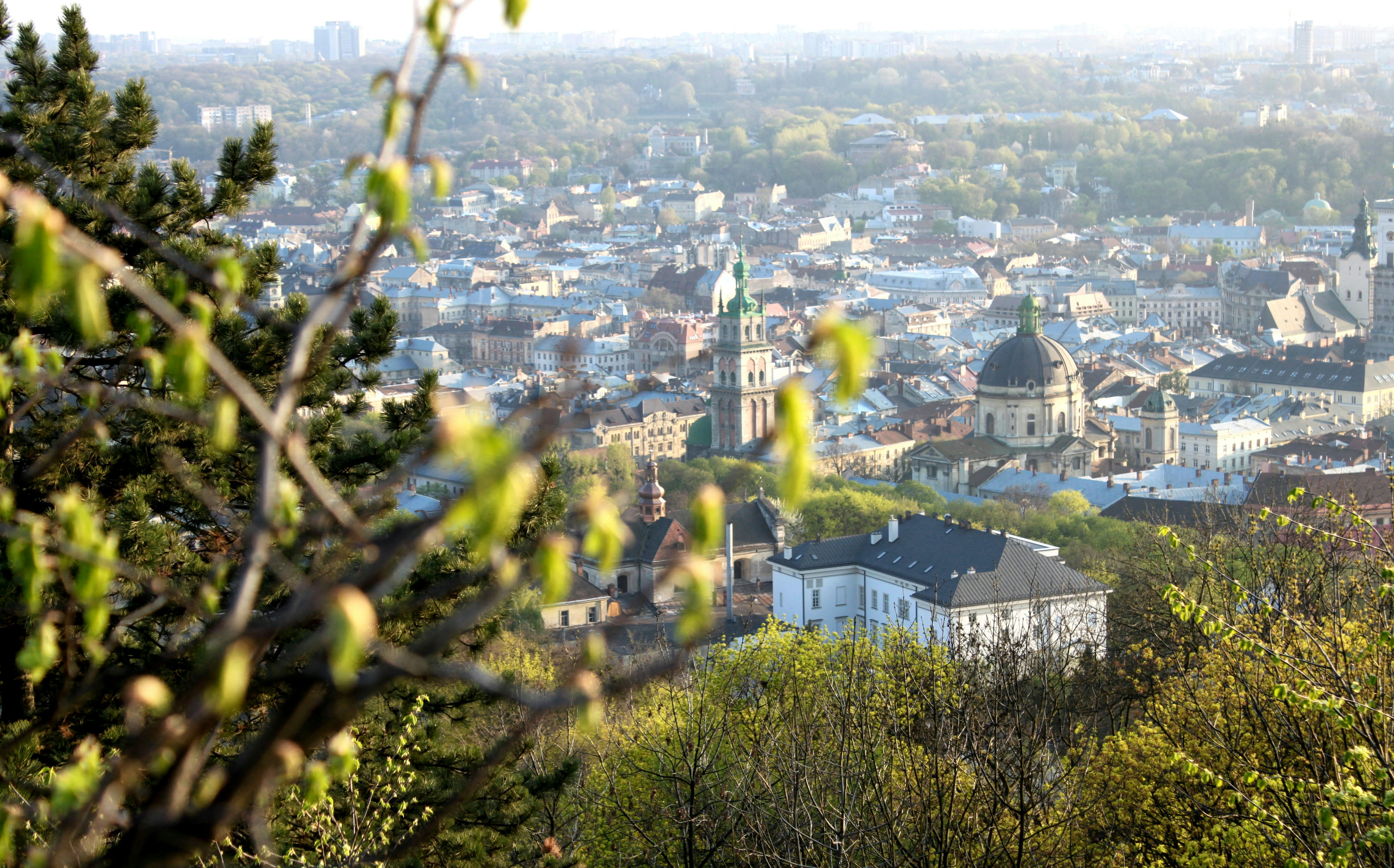 Photo by kateryna_shevchenko