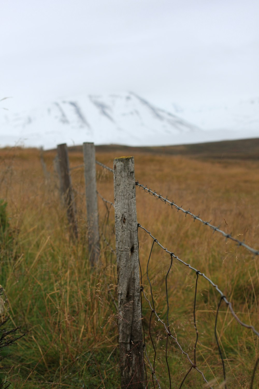 a fence in a field