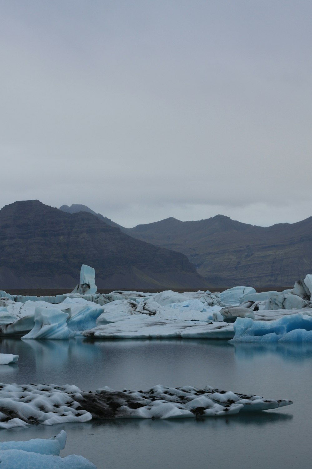 icebergs in the water