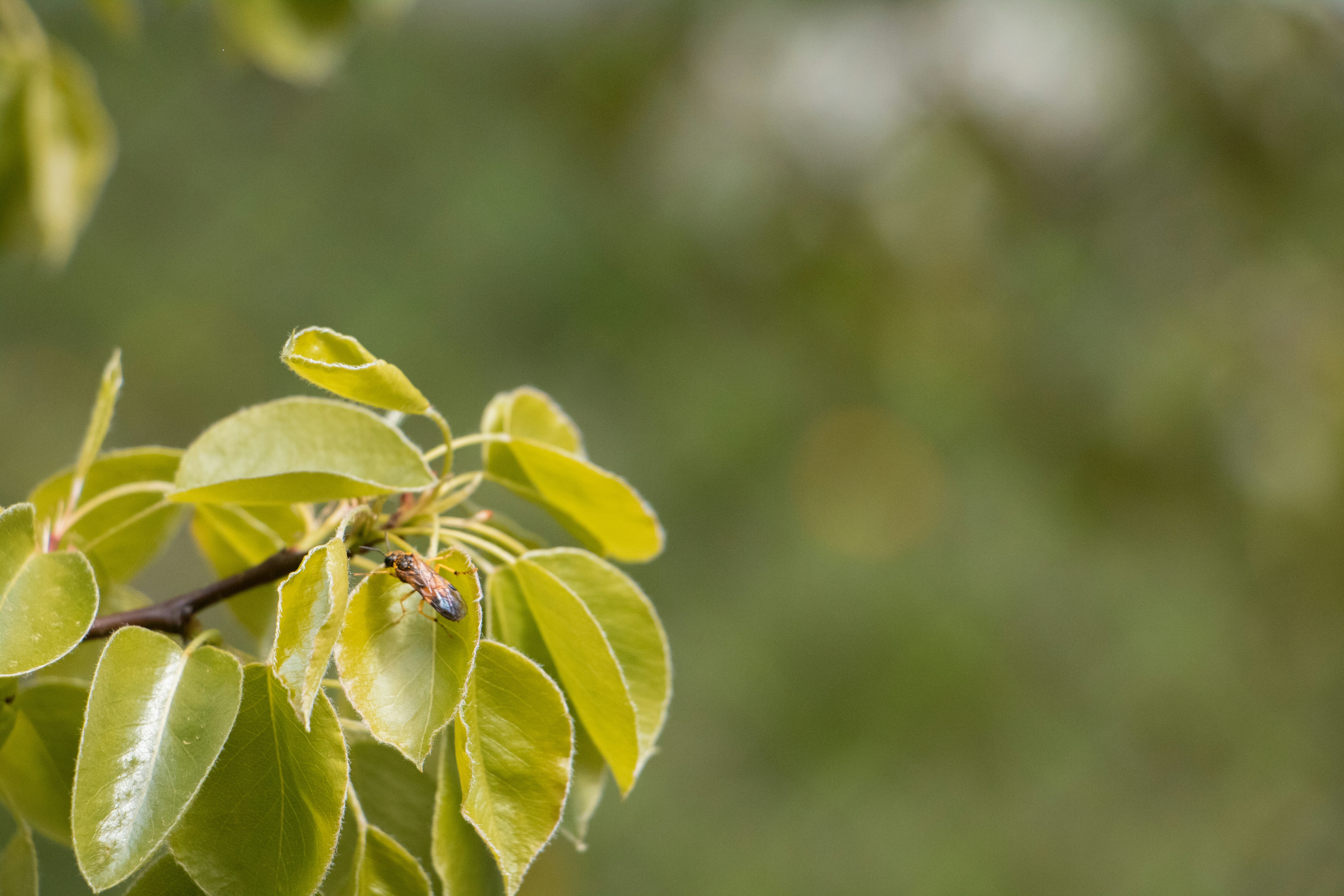 Photo by filipp_karpenko