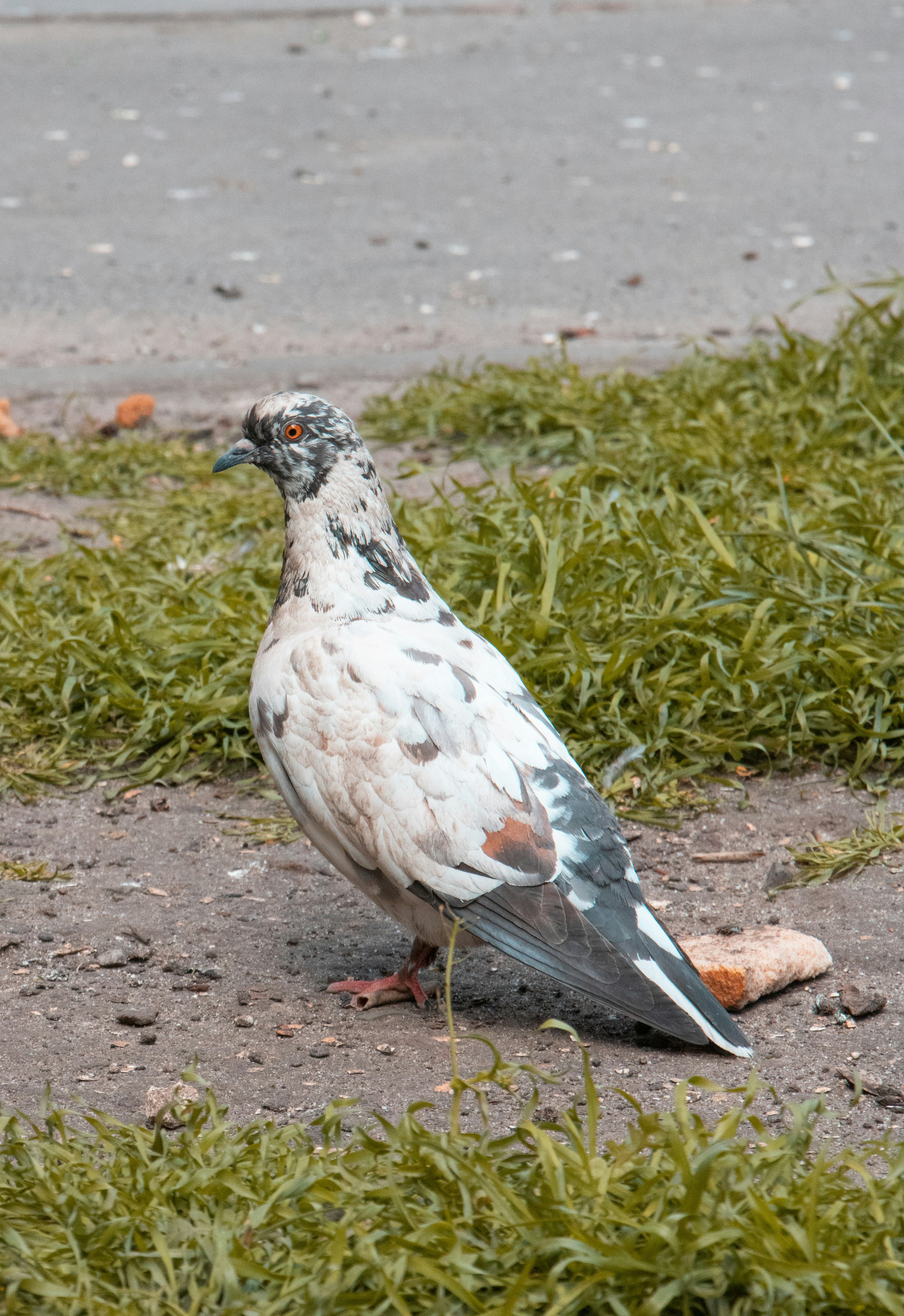 Photo by filipp_karpenko