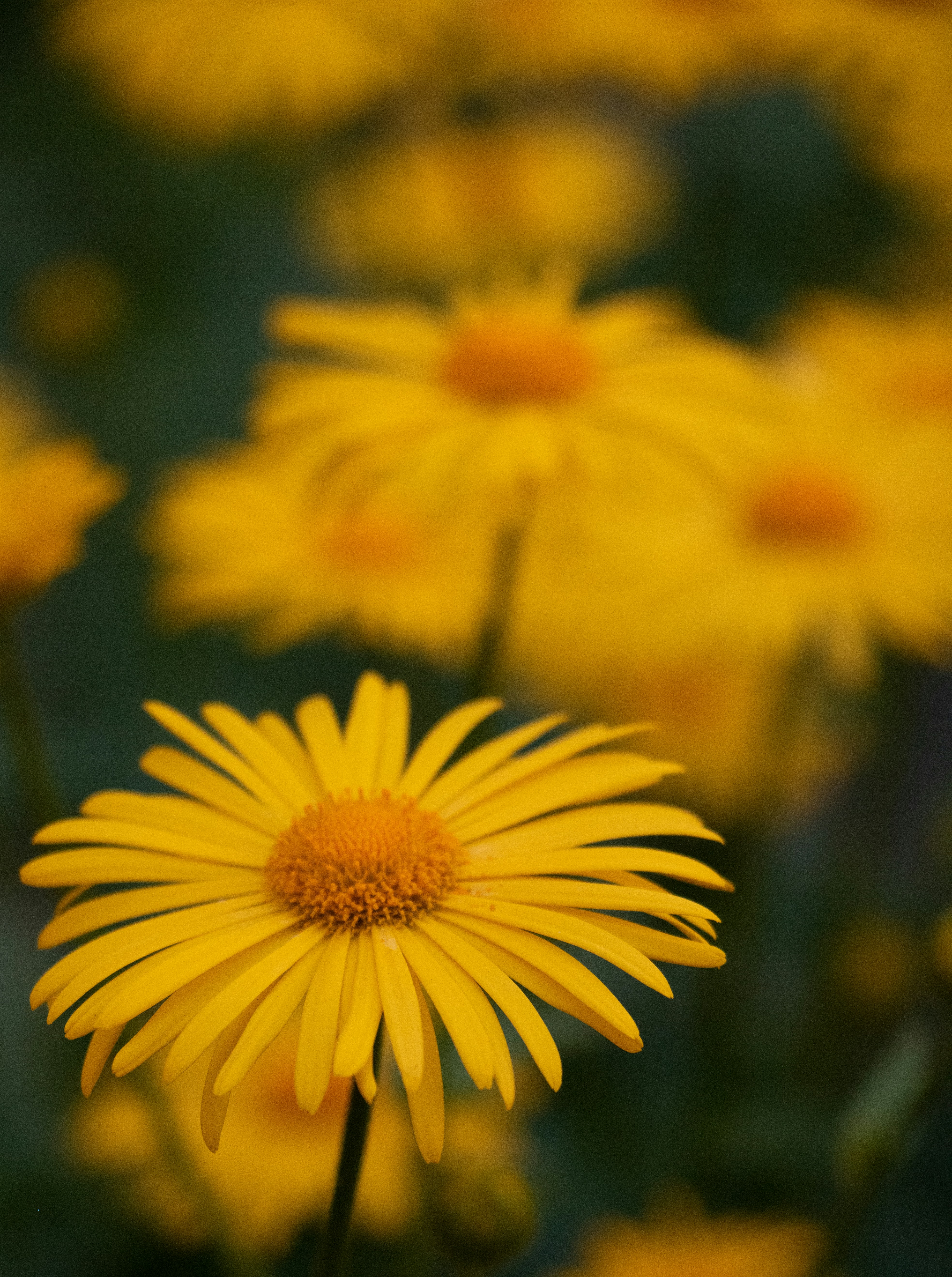 Photo by filipp_karpenko