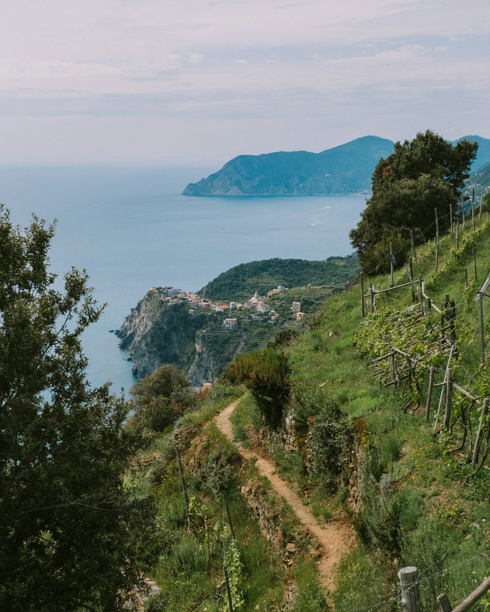 a landscape with trees and a body of water in the background