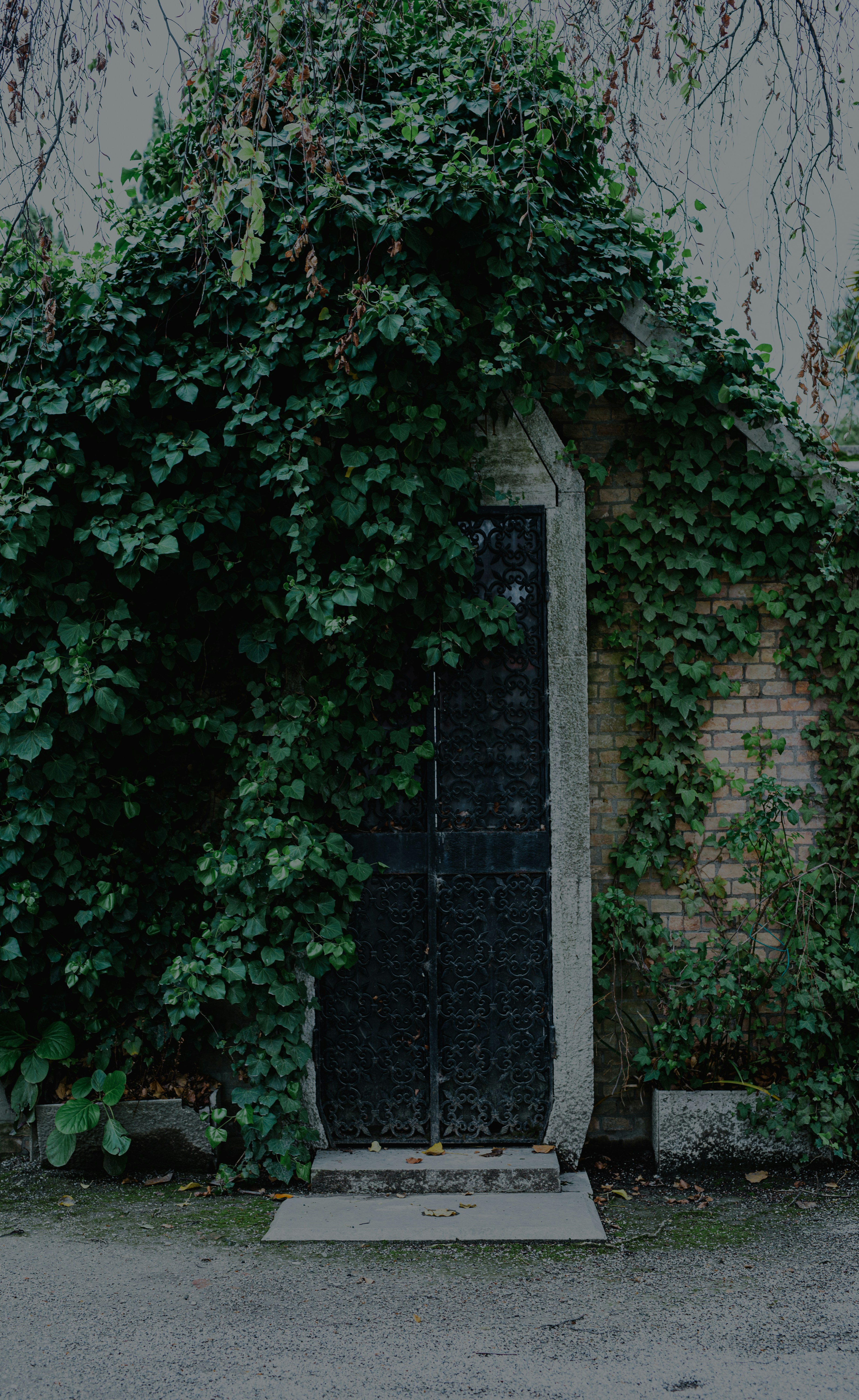 Photo by darya_jumelya