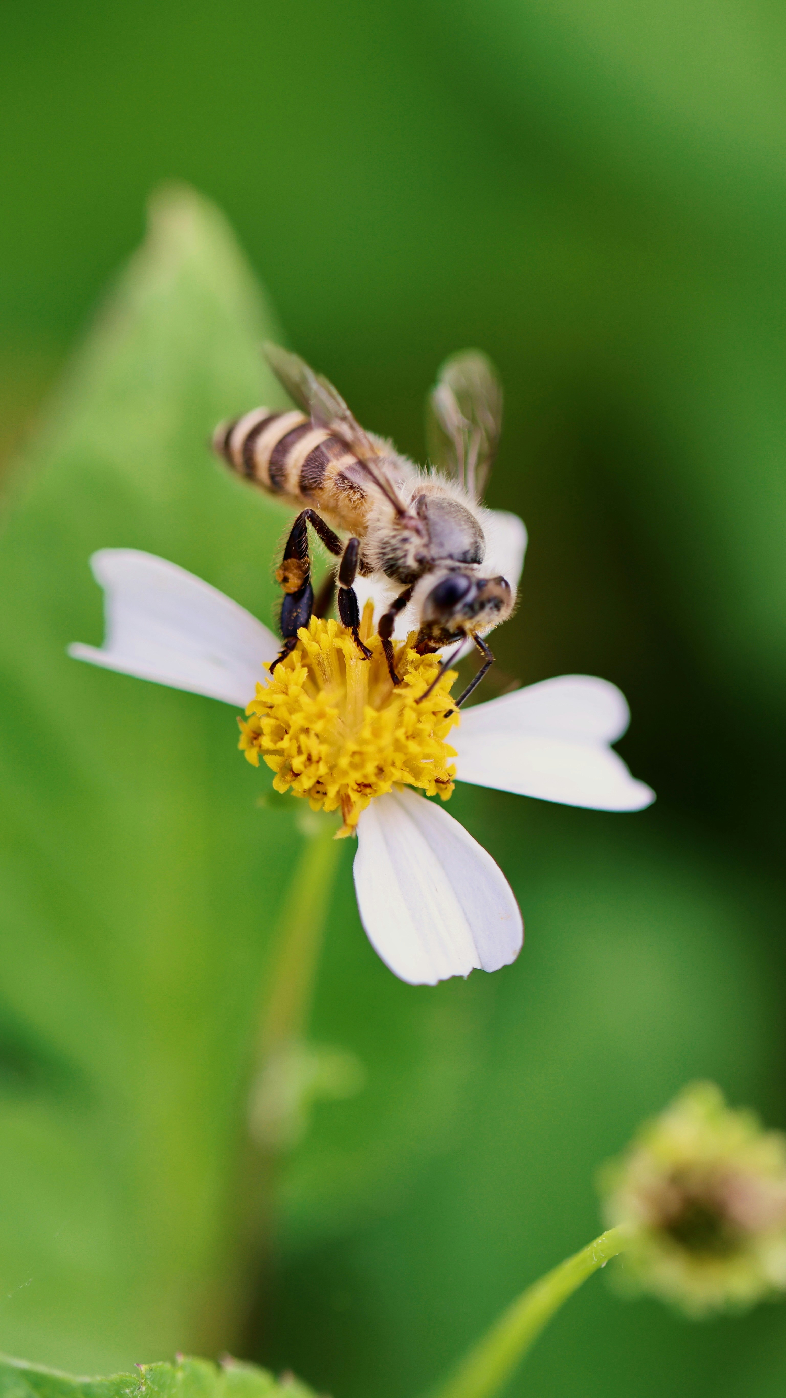 Photo by dickenslin76