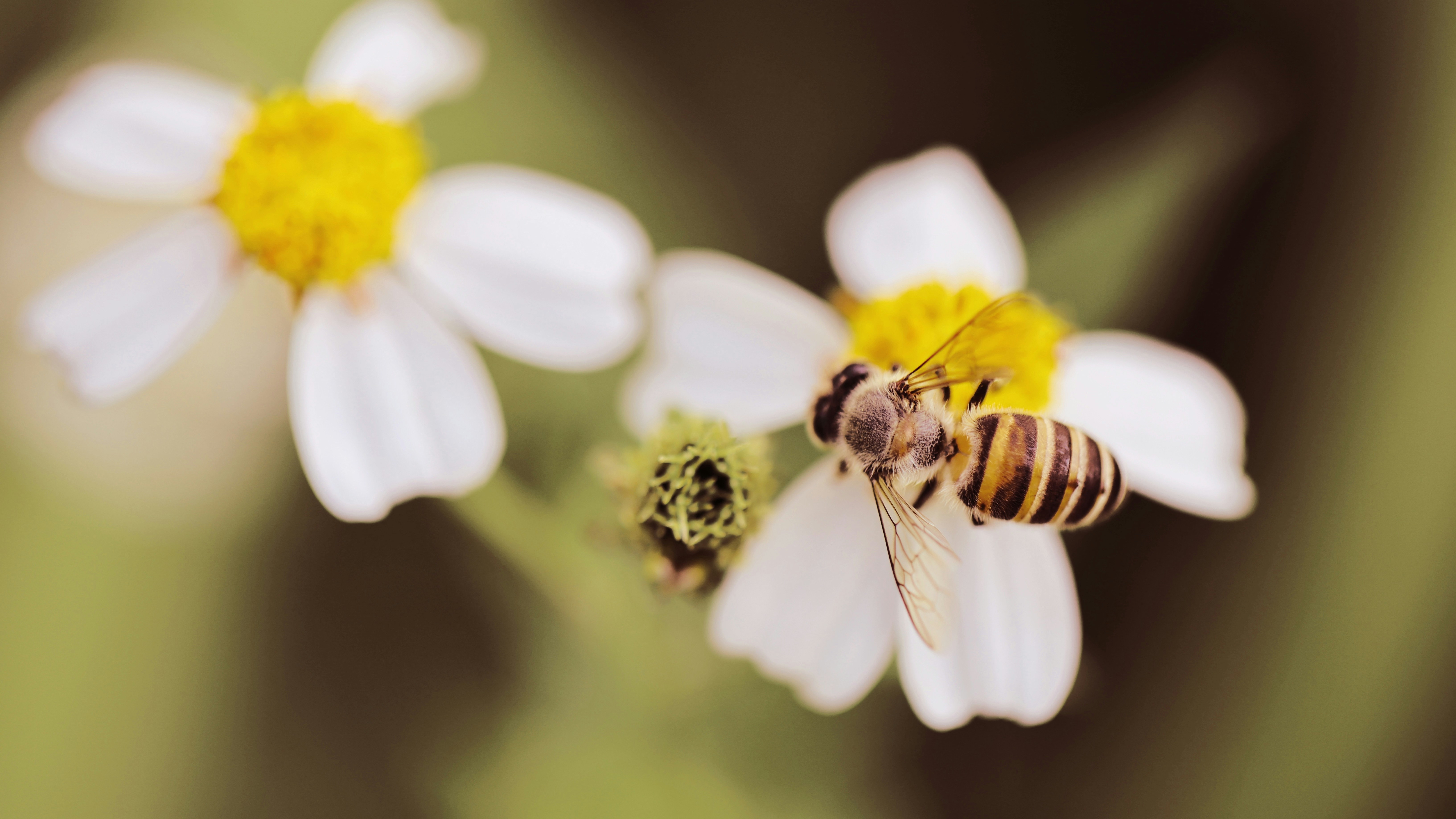 Photo by dickenslin76