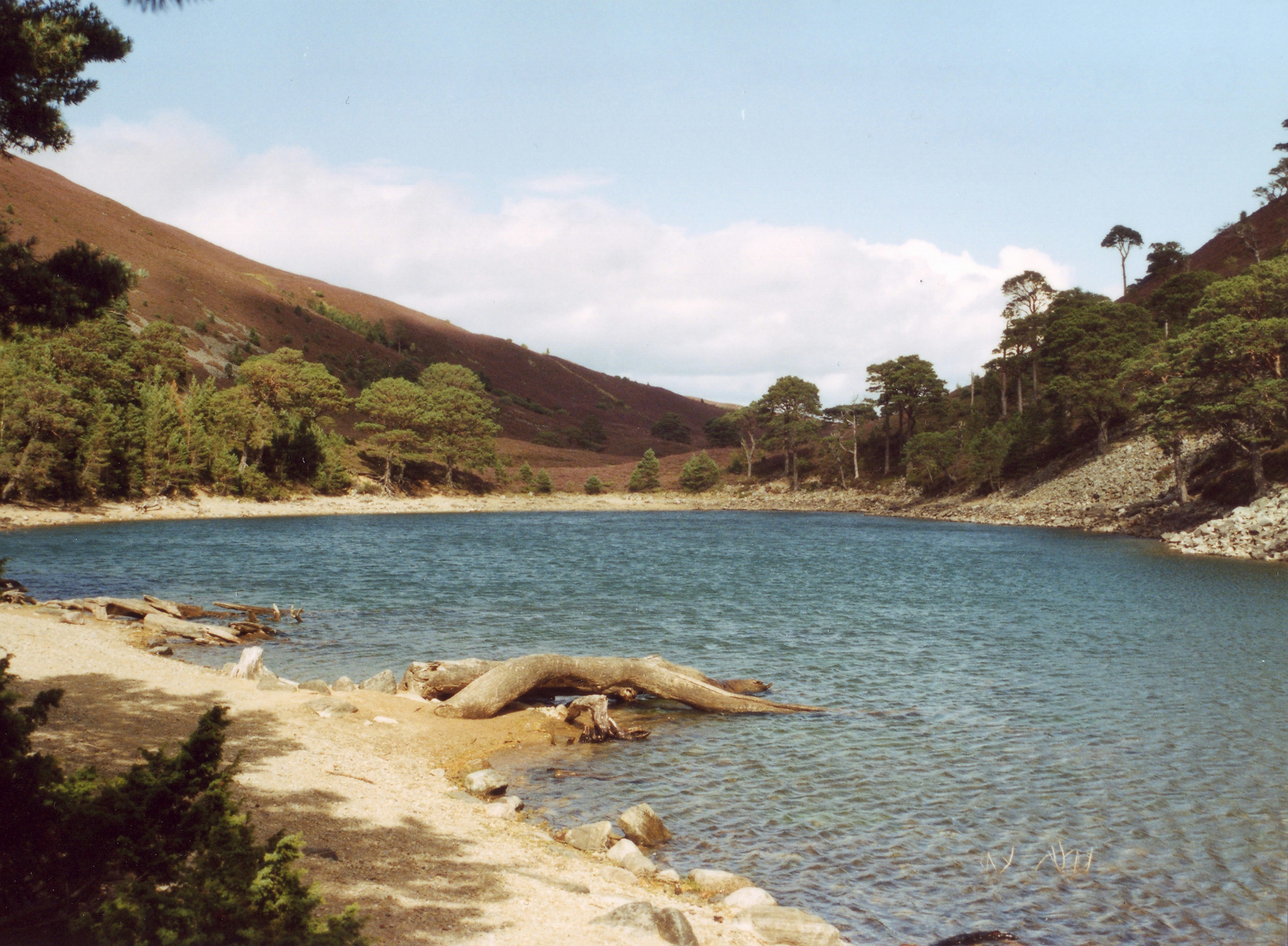 a body of water with rocks and trees around it