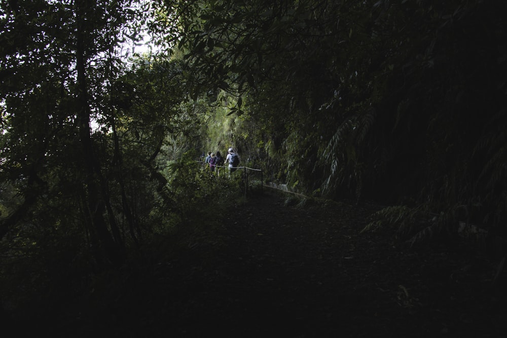 a group of people standing next to a tree