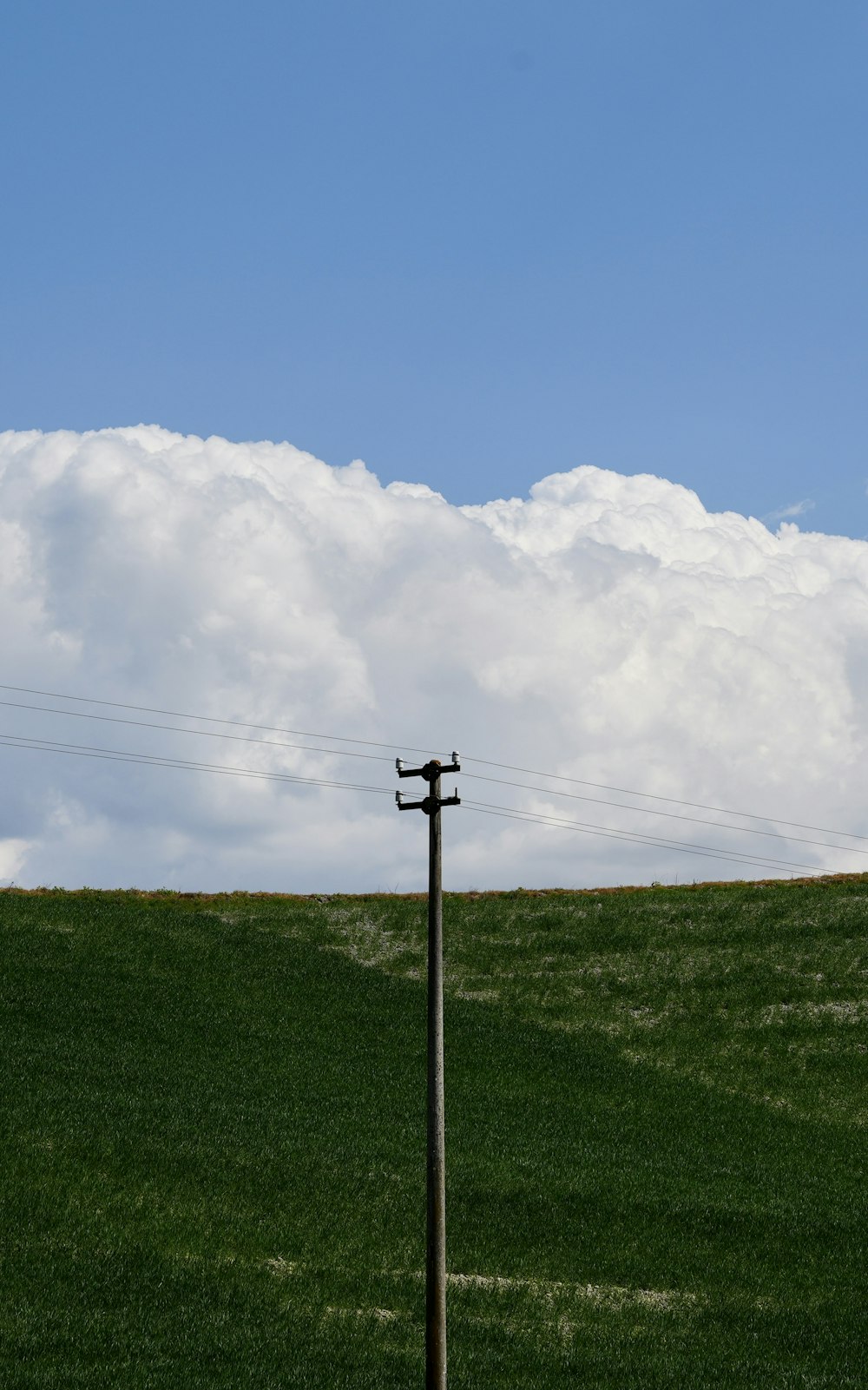 a telephone pole in a field