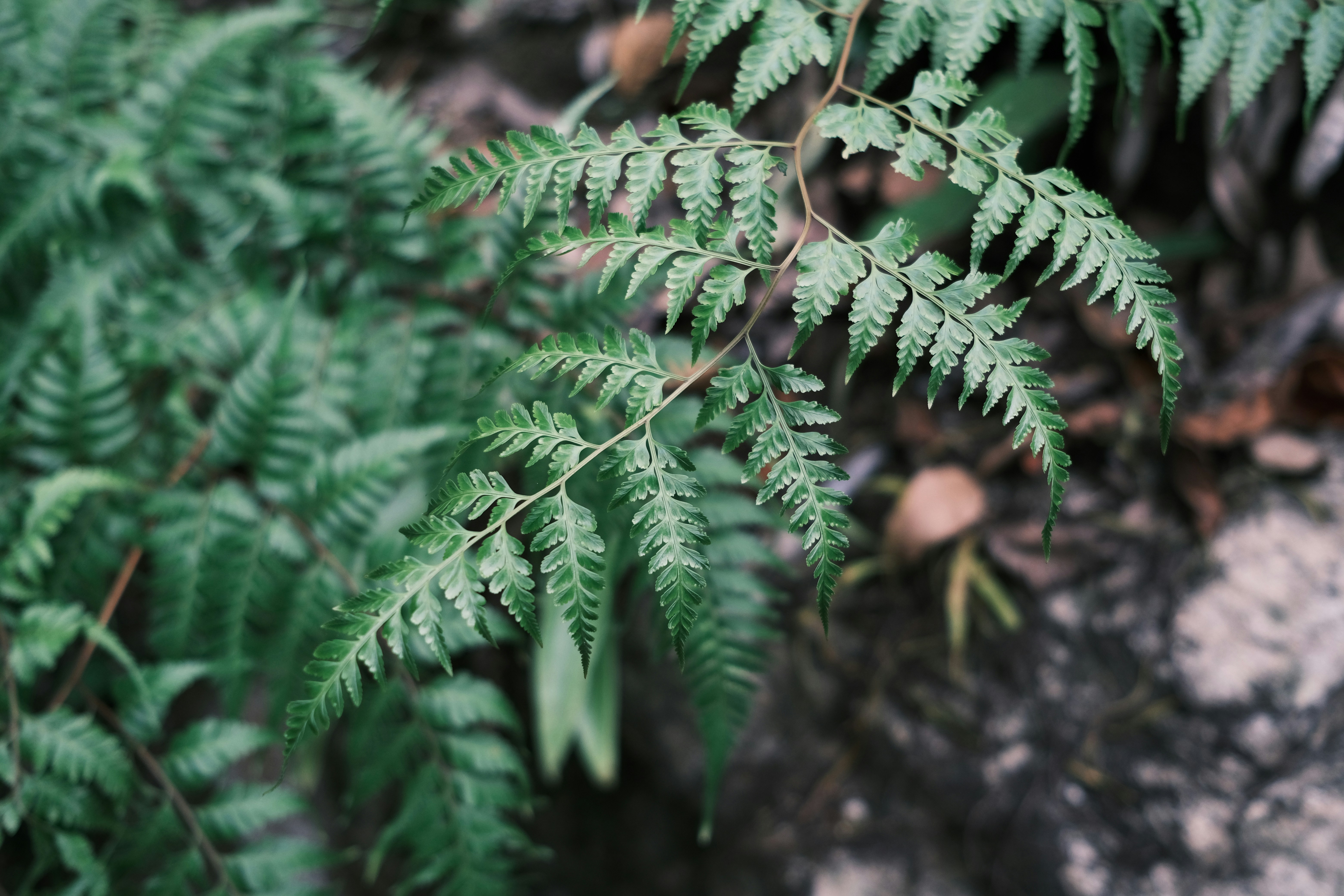 Photo by capture_at_moments