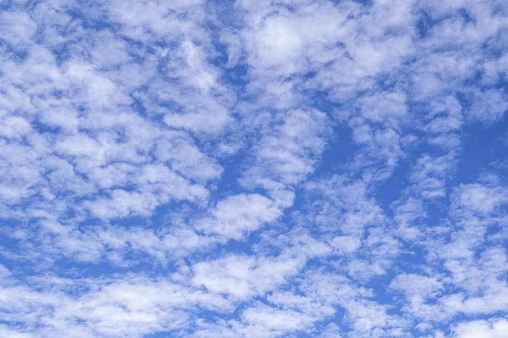 a group of clouds in the blue sky