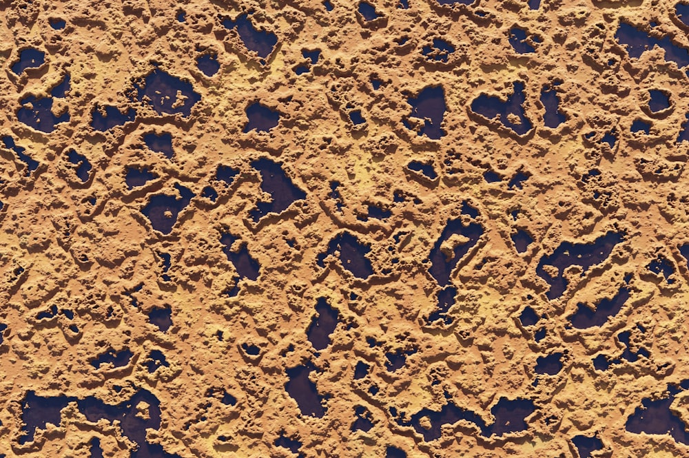 a close up of some footprints