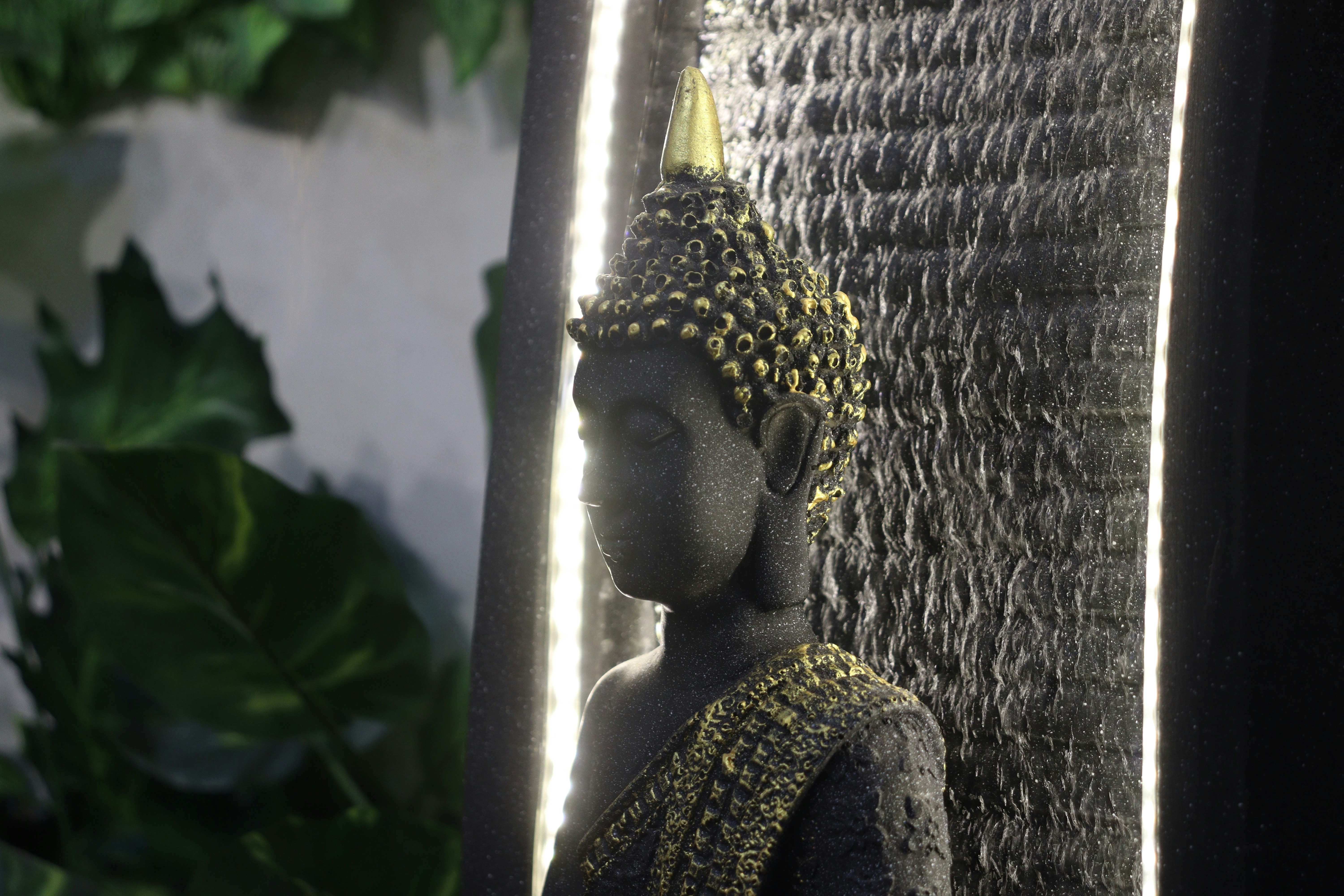 Photo by anyzoystudio