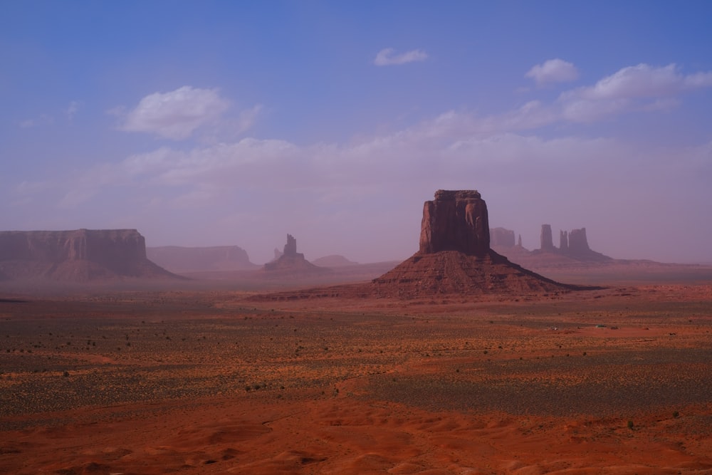 a close up of a desert field with a mountain in the background