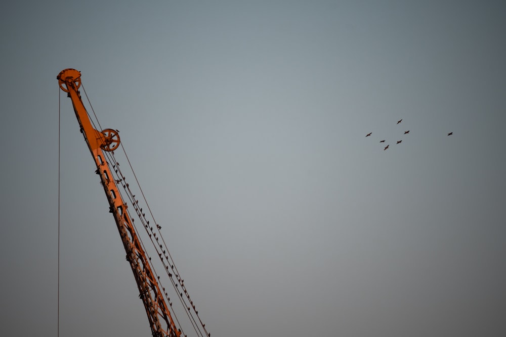 a crane with birds flying around